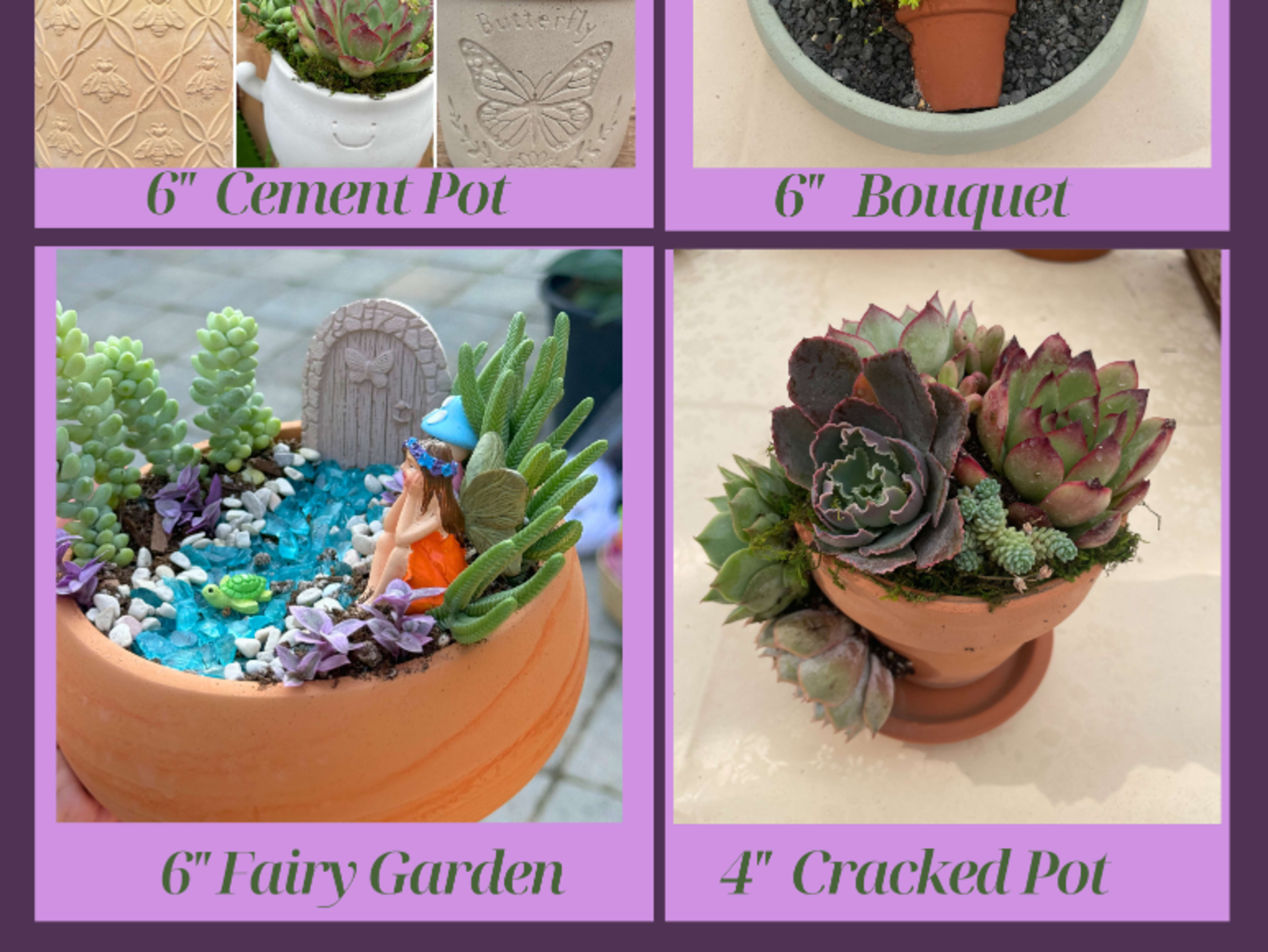 Rooted Together Private Party Planting Package 