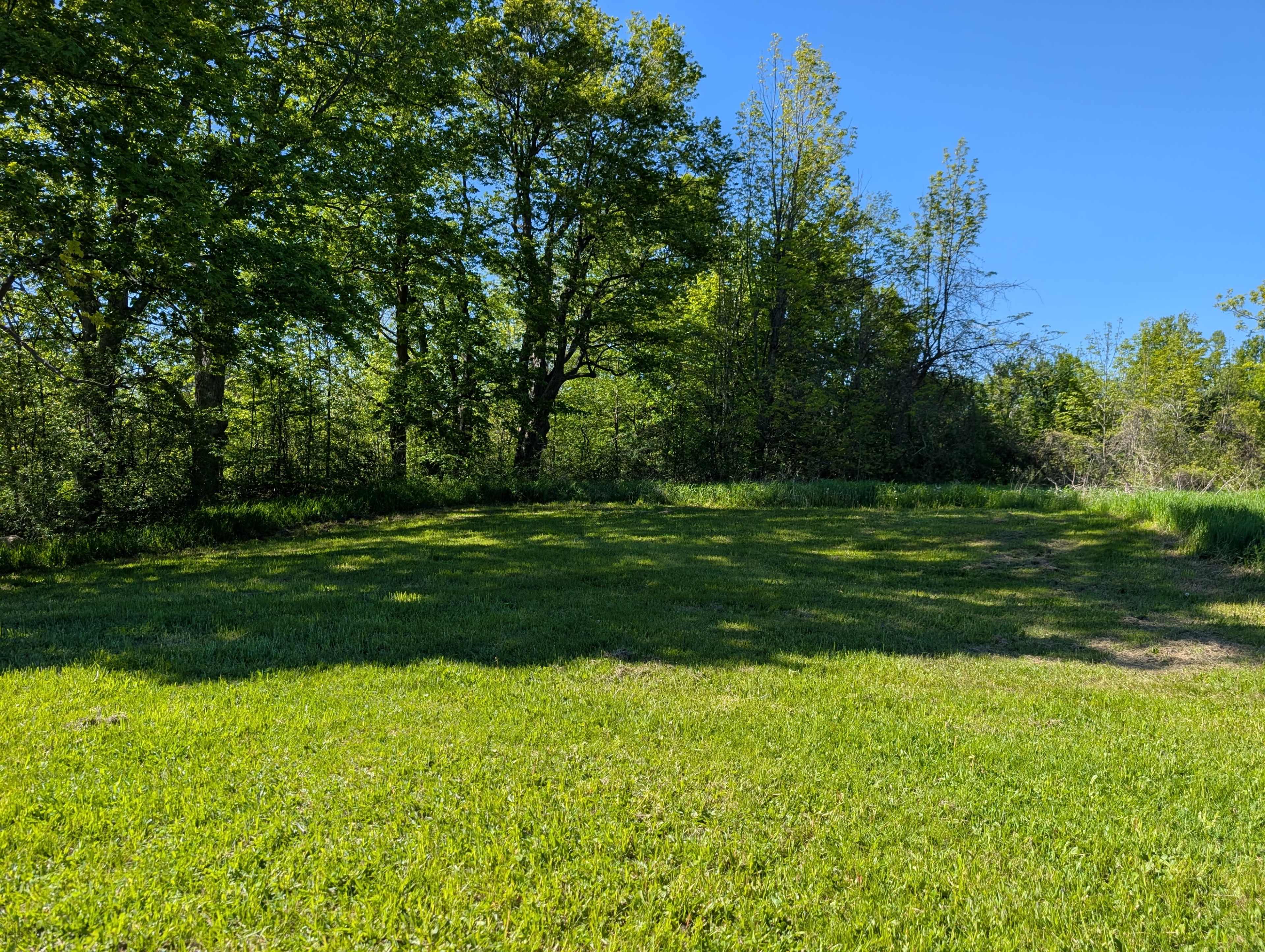 A patch of green grass is surrounded by trees under a clear blue sky.