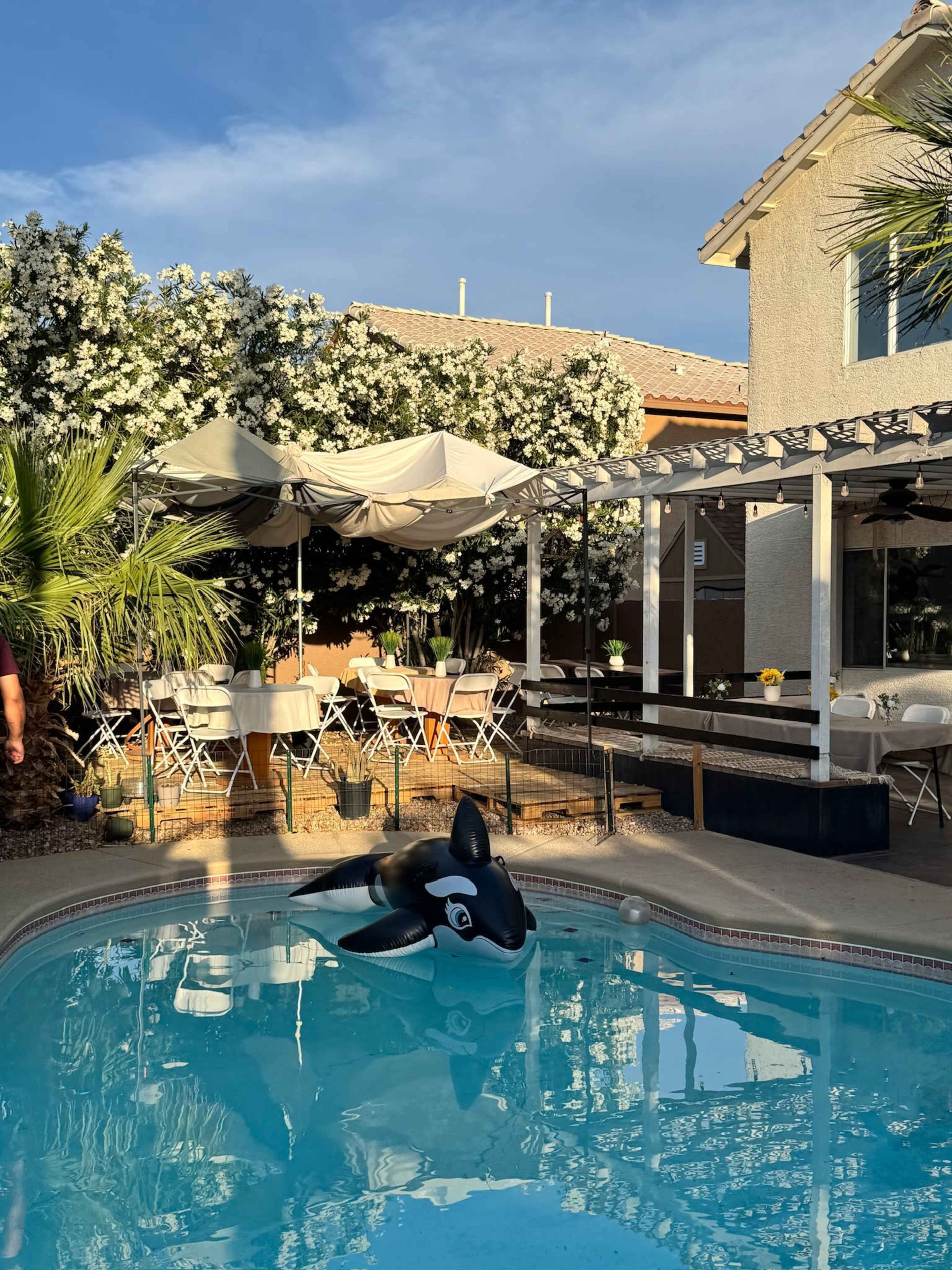 Tropical Backyard Oasis with Pool for Events Image in Centennial Hills, Las Vegas, NV