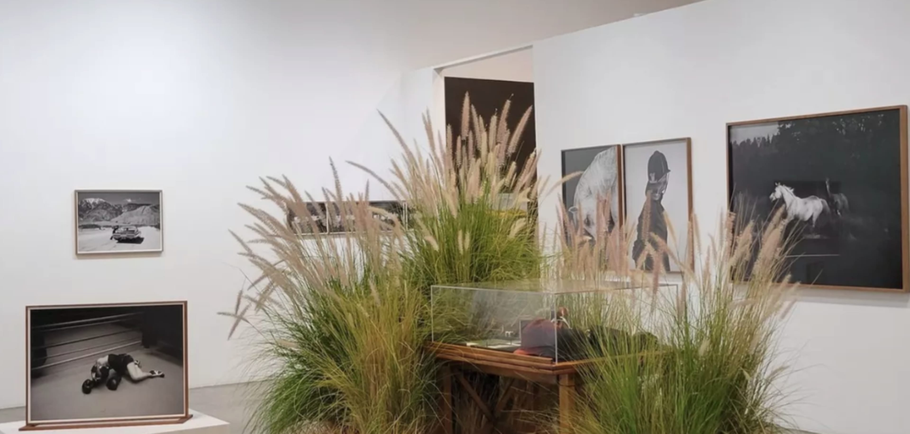 The Elegant Gallery Image in Pico, Santa Monica, CA