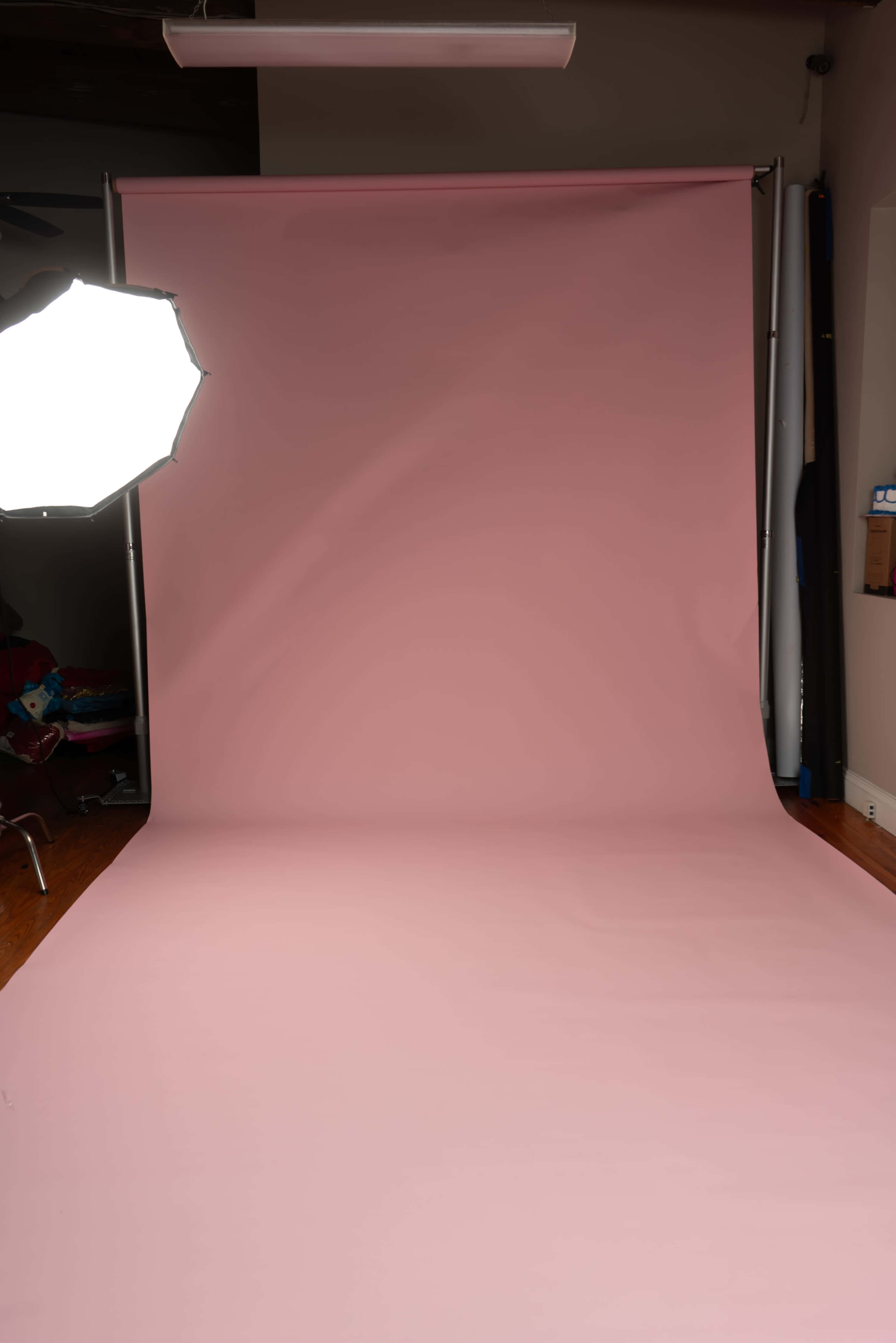 The image shows a photography studio with a large pink backdrop and a softbox light positioned to the left.