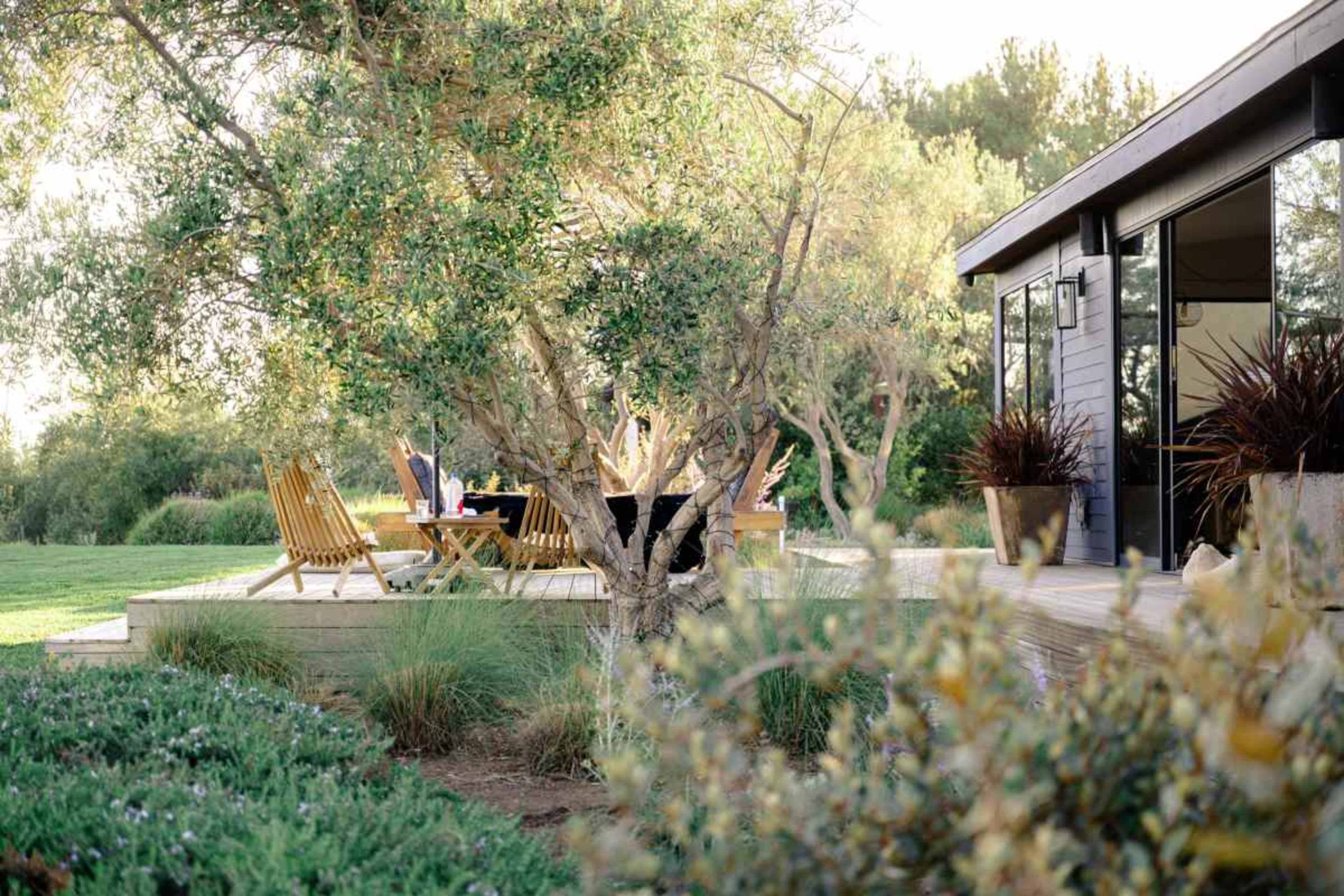 A wooden deck attached to a modern house is surrounded by greenery, featuring several chairs and a dining setup under a tree.