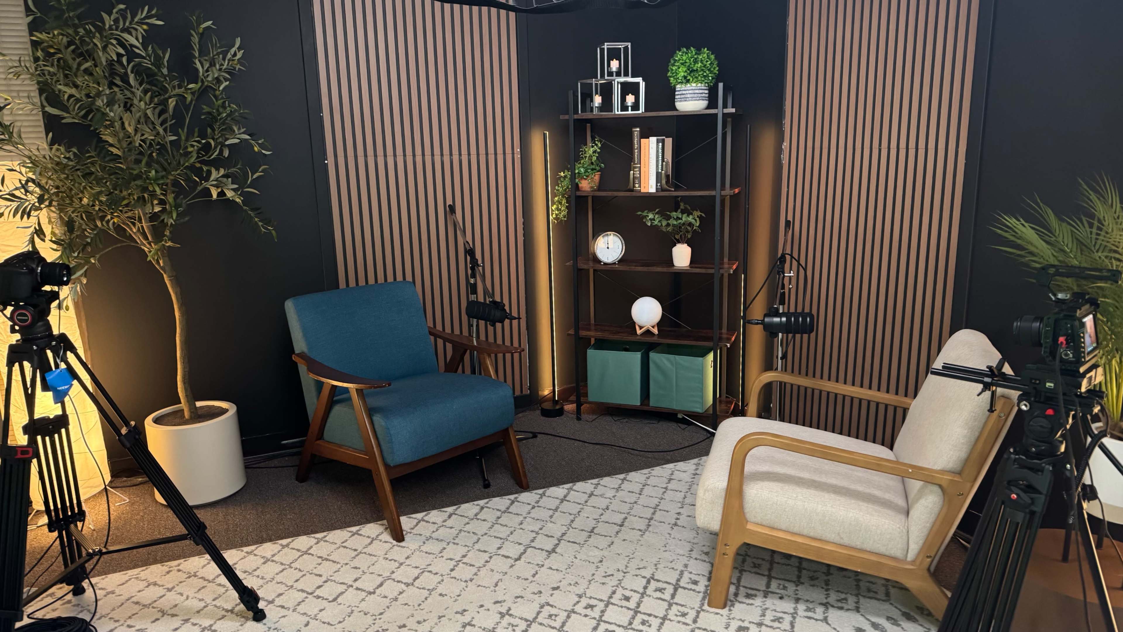 The image shows a modern interview setup with two chairs, a decorative shelf, and various plants, surrounded by cameras and studio lighting.