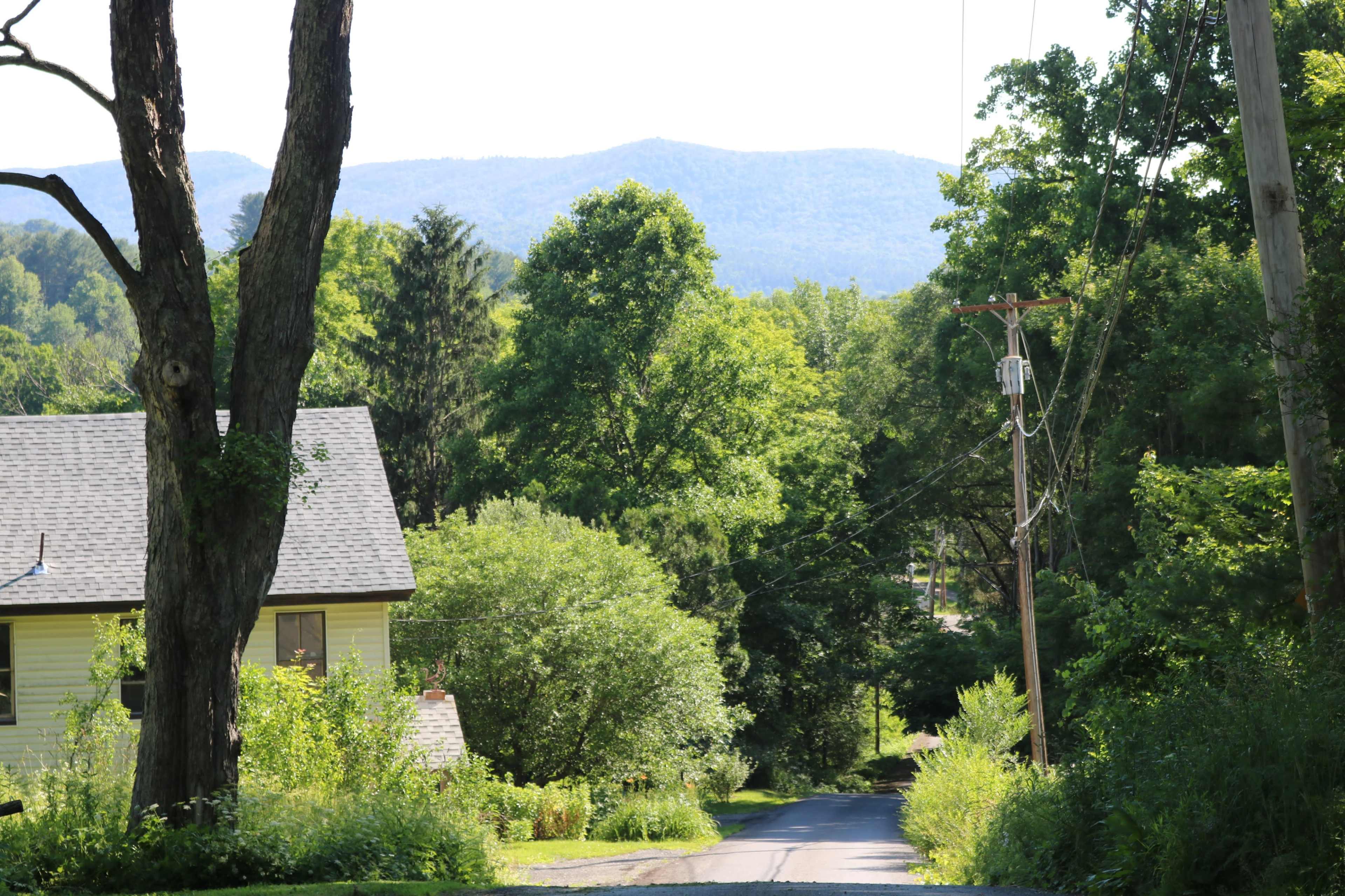 A rural road lined with trees leads towards a distant mountain range.