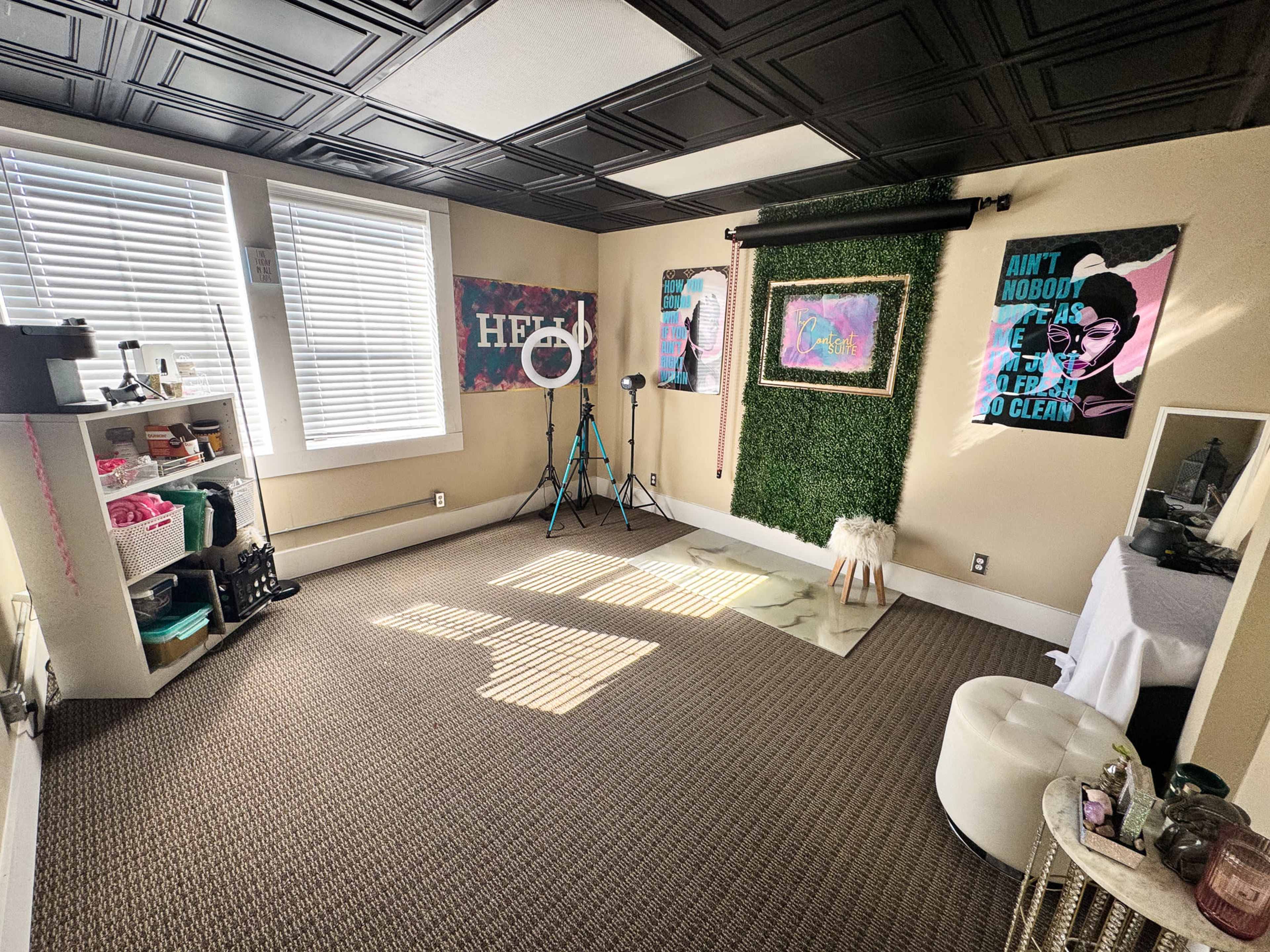 The image shows a room with a carpeted floor, one wall decorated with green artificial foliage, a ring light setup, and various artworks, while shelves display storage items.