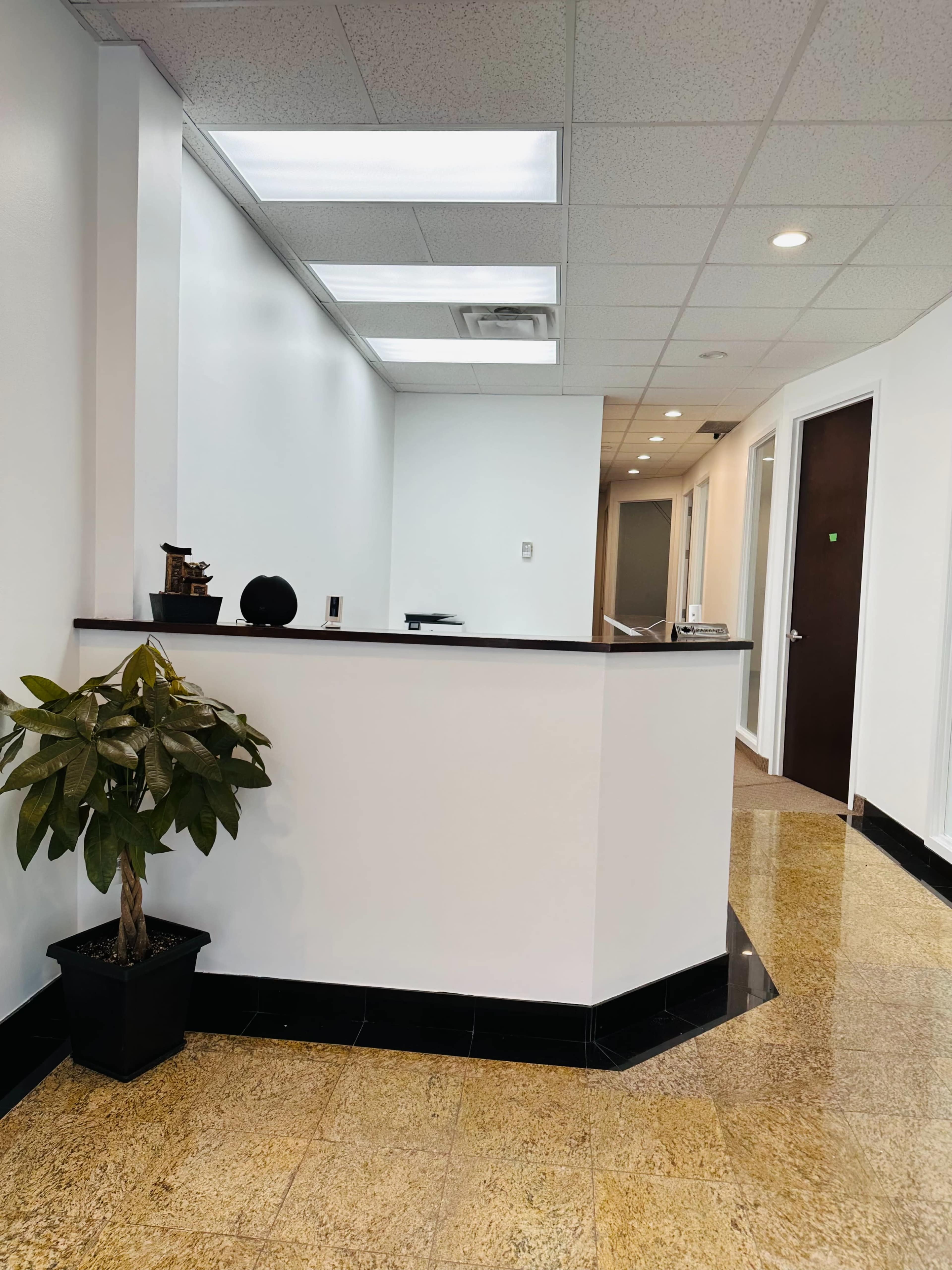 A modern office reception area with a low counter, a potted plant, and doors leading to a hallway.