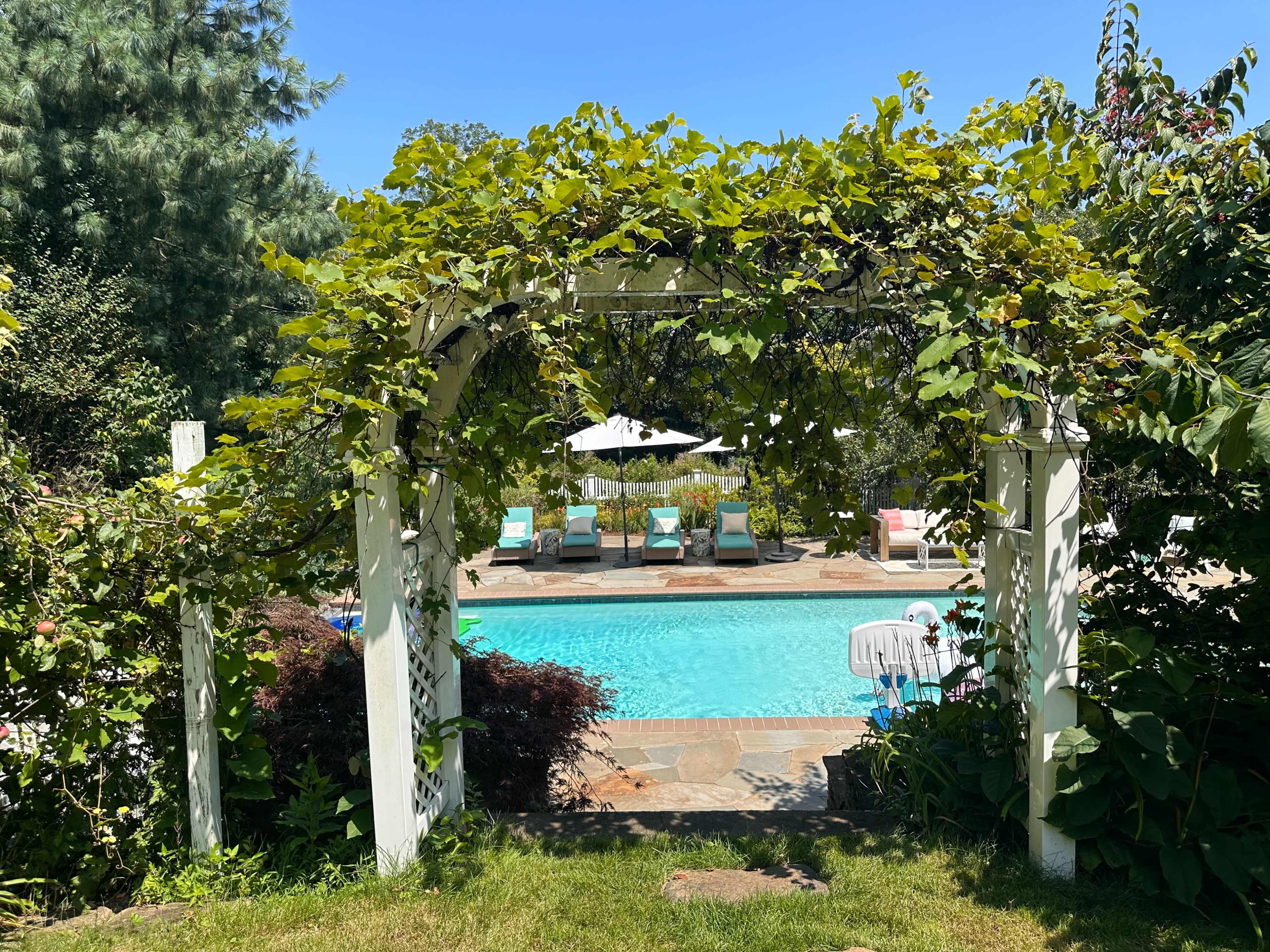 A white arch covered with greenery frames a swimming pool surrounded by lounge chairs and umbrellas on a sunny day.