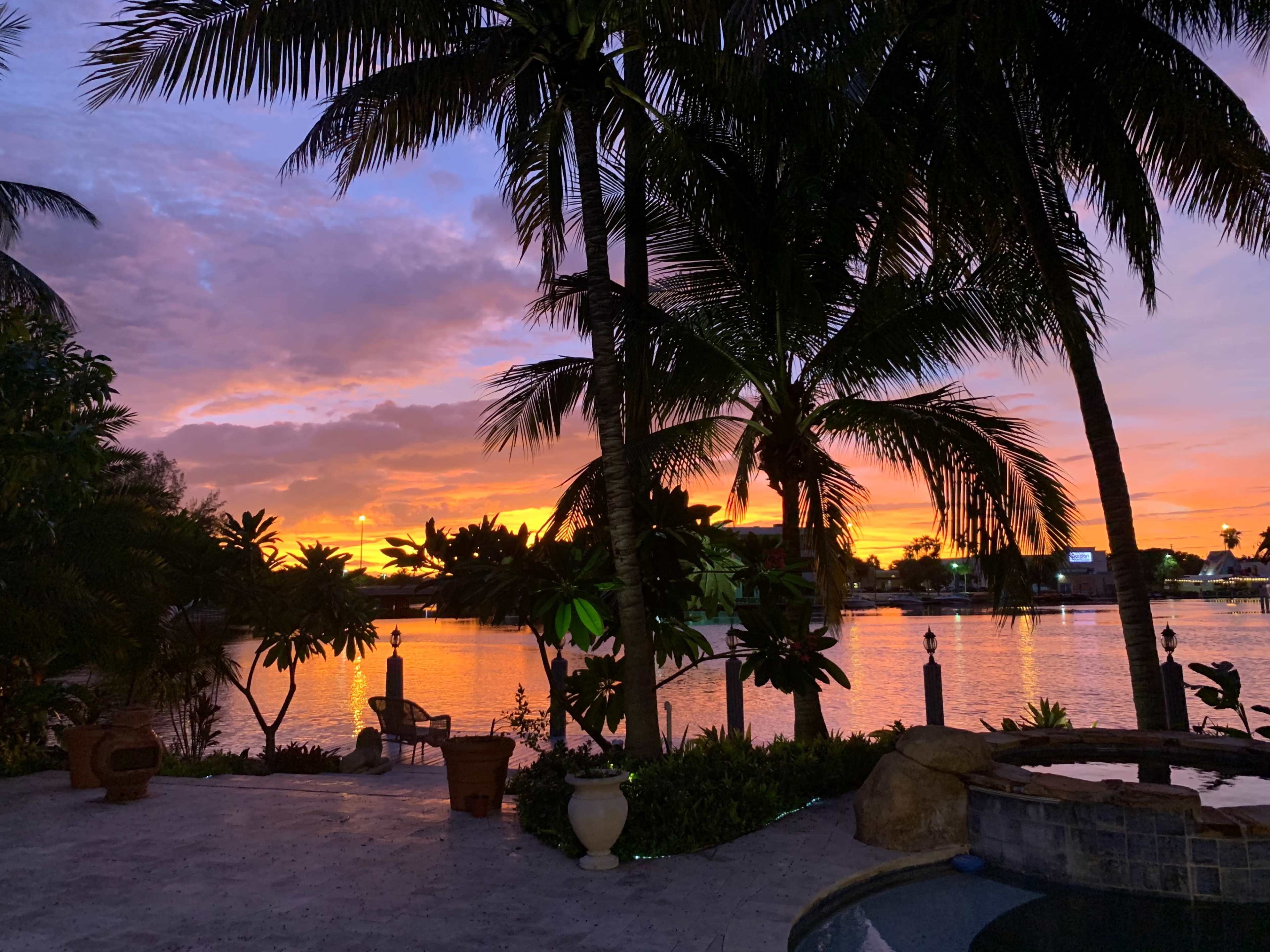 The scene features a waterfront view at sunset, with palm trees framing the landscape and colorful clouds reflecting on the water.