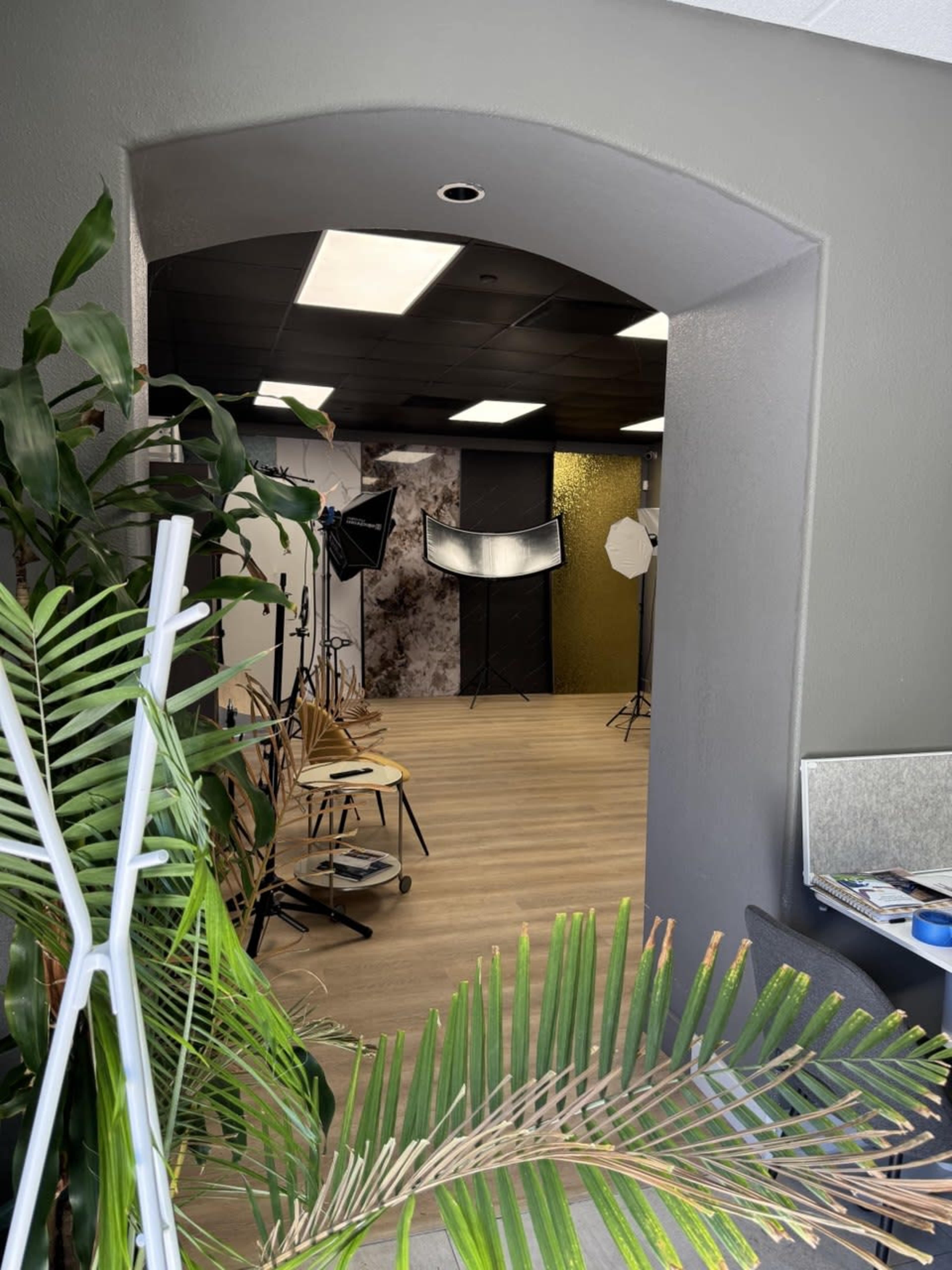 The image shows the interior of a studio space with photography equipment arranged and a pathway leading through a green plant.