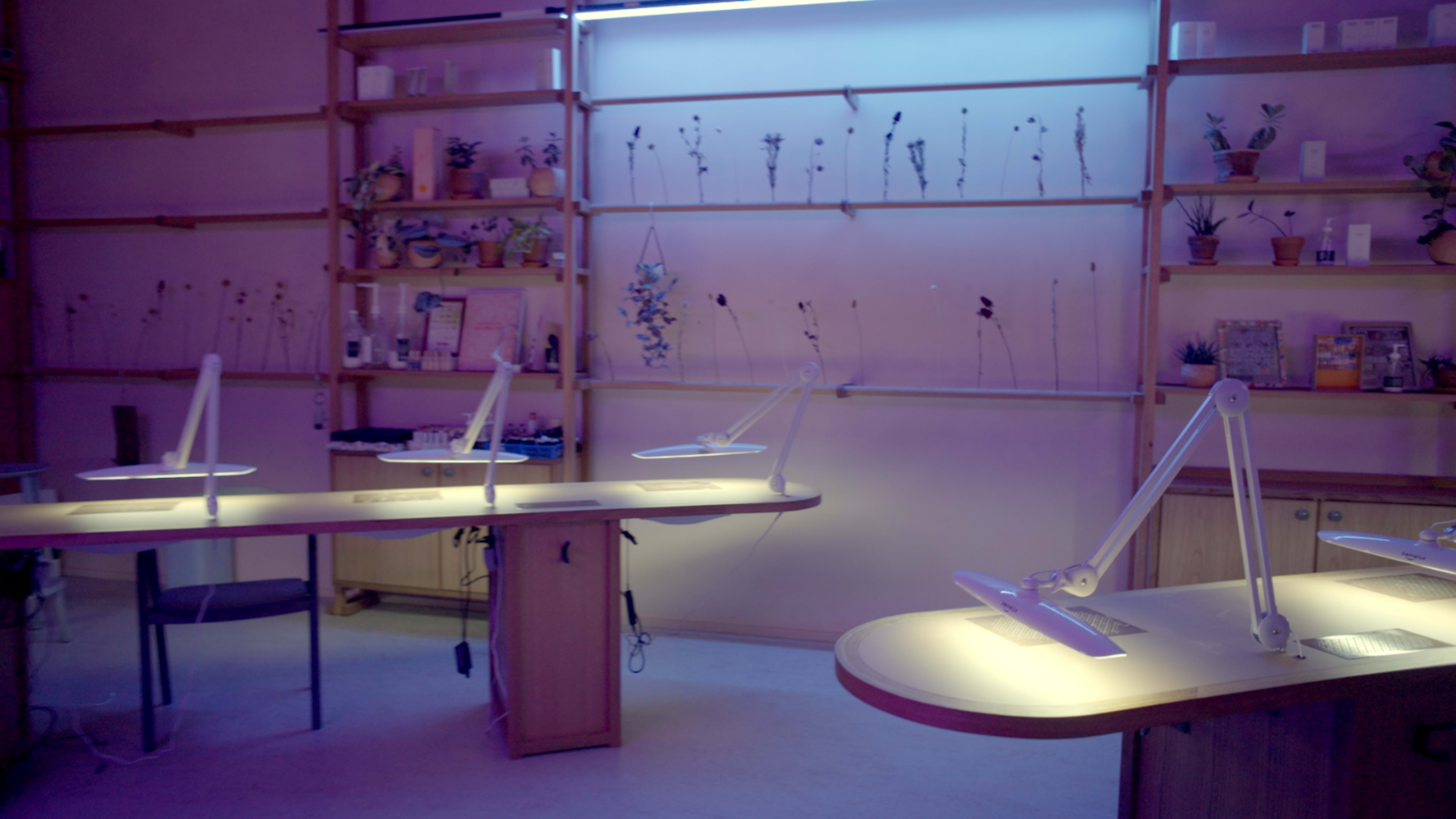 A dimly lit room features several workstations with modern desk lamps and shelves adorned with potted plants and various items.