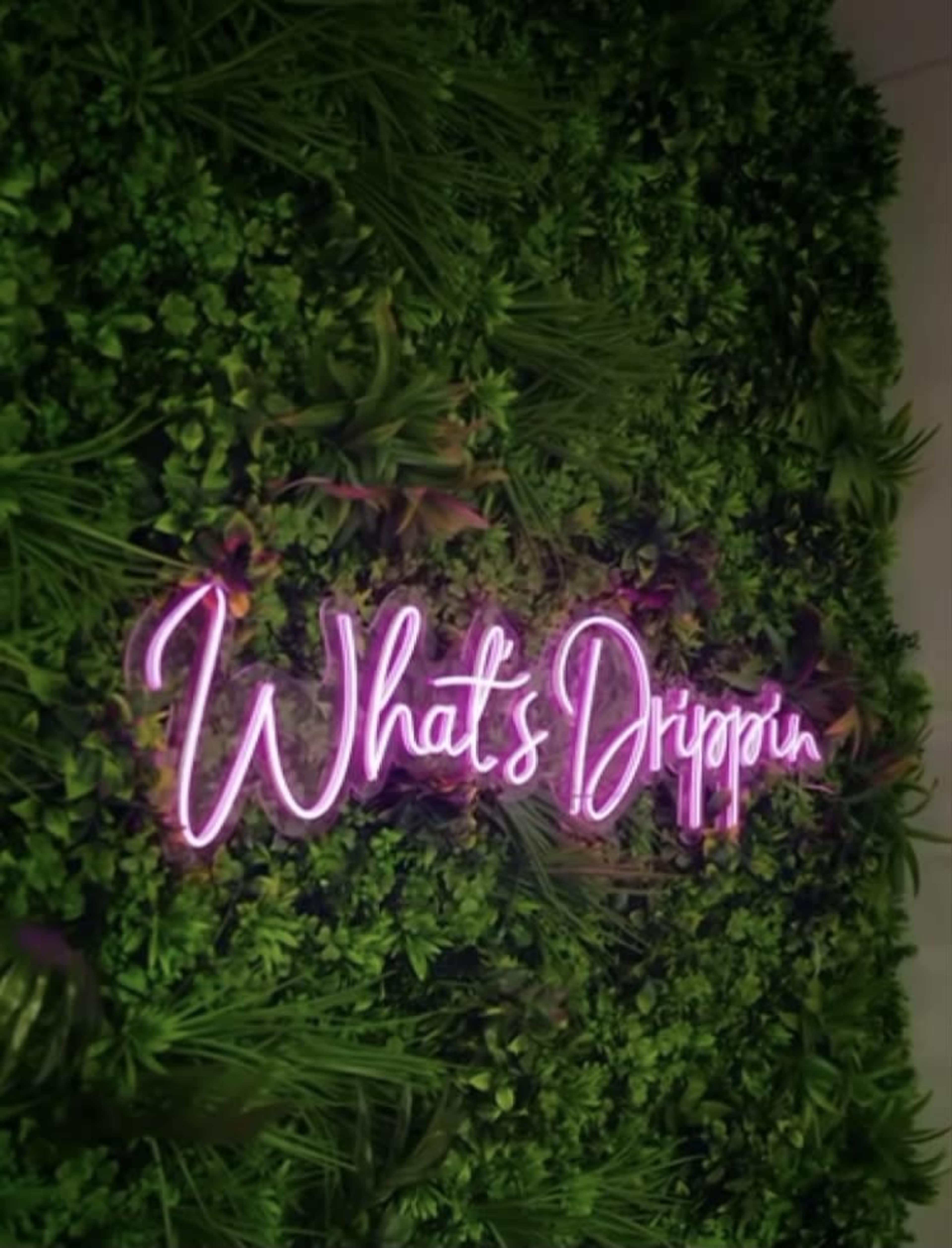 A neon pink sign that reads "What's Drippin'" is displayed against a background of green foliage.