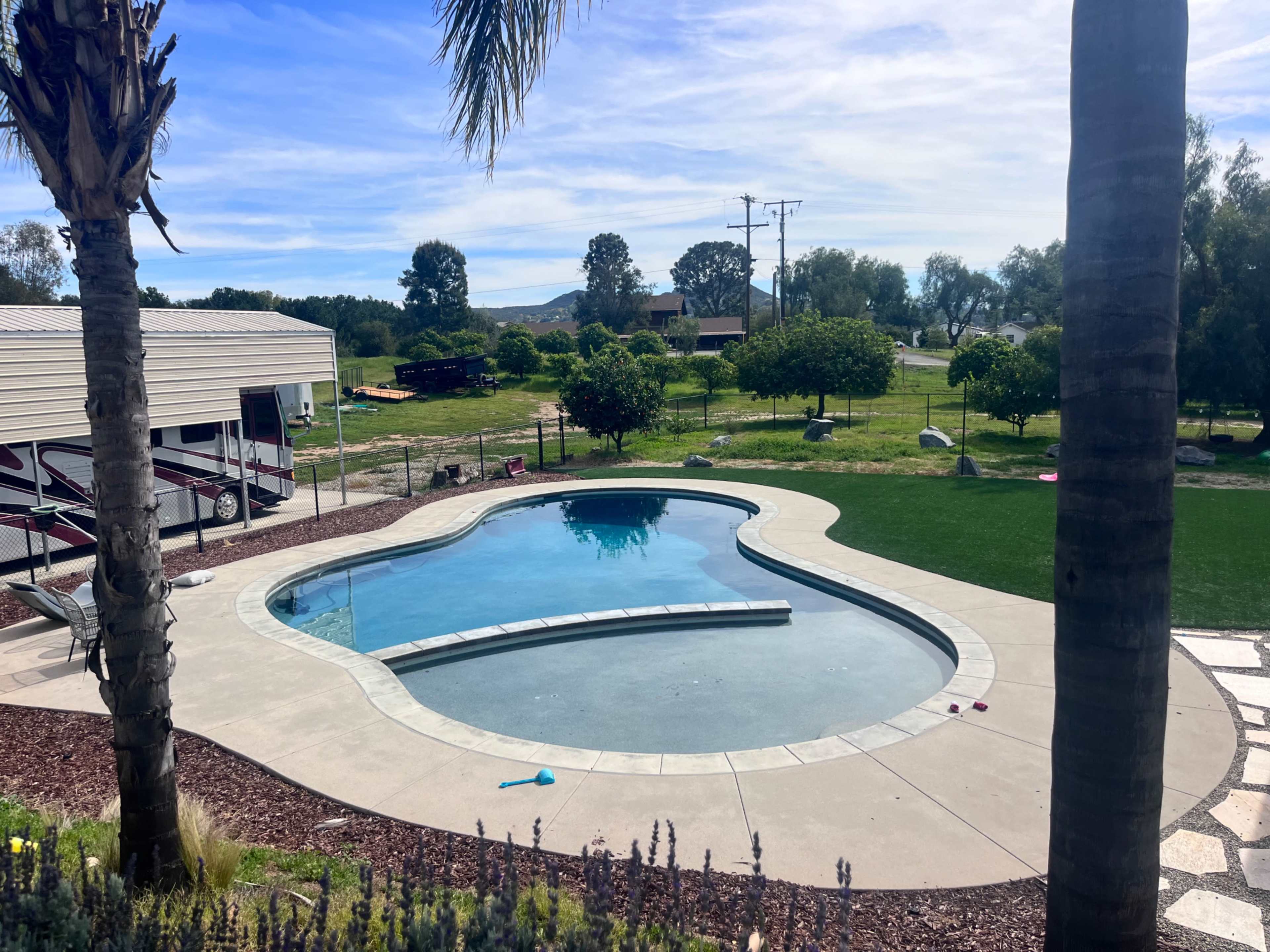 The image shows a large, kidney-shaped swimming pool surrounded by a landscaped garden and a few palm trees.