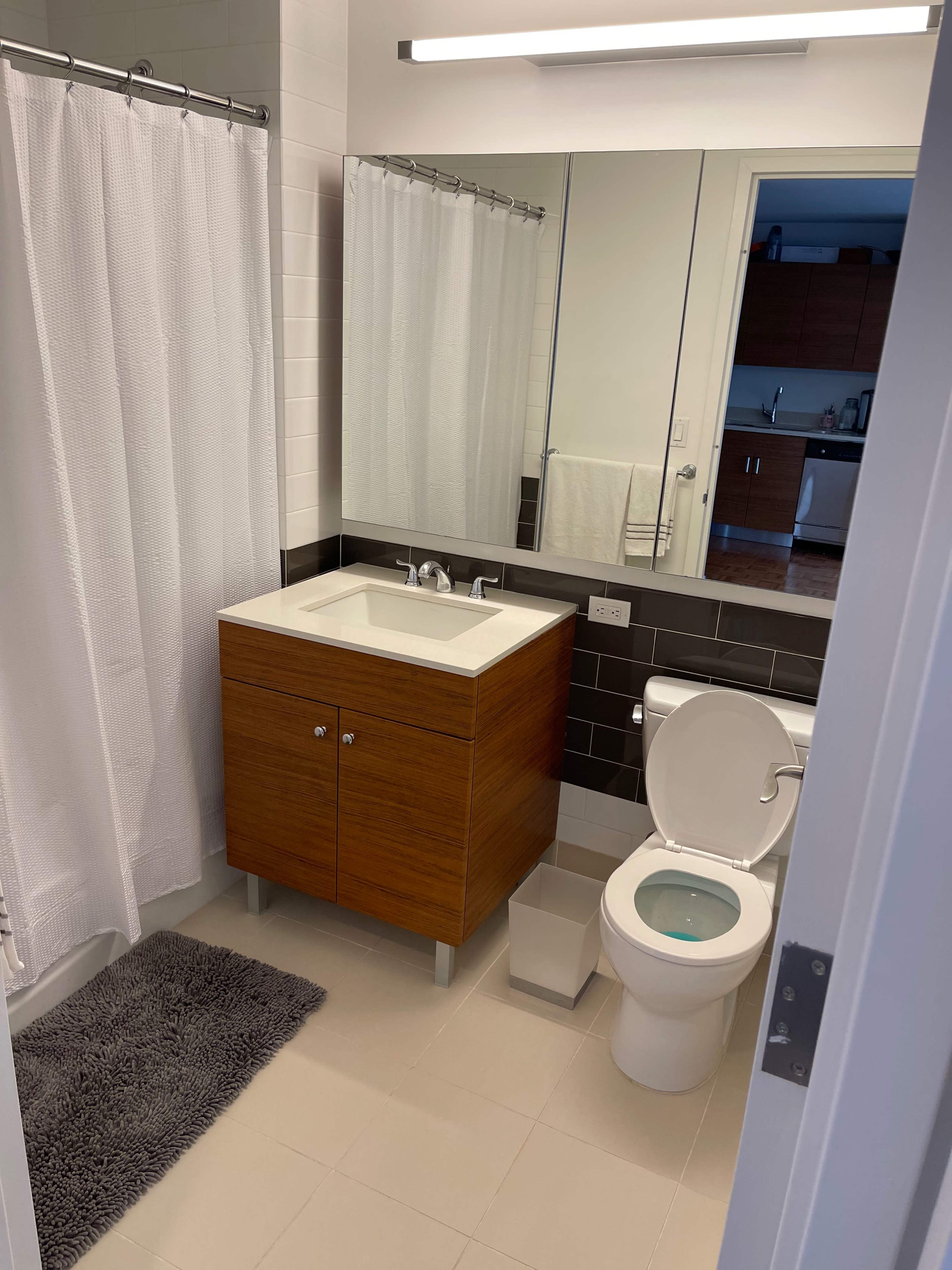 The image shows a modern bathroom with a shower area, a wooden vanity with a sink, a toilet, and a mirror.