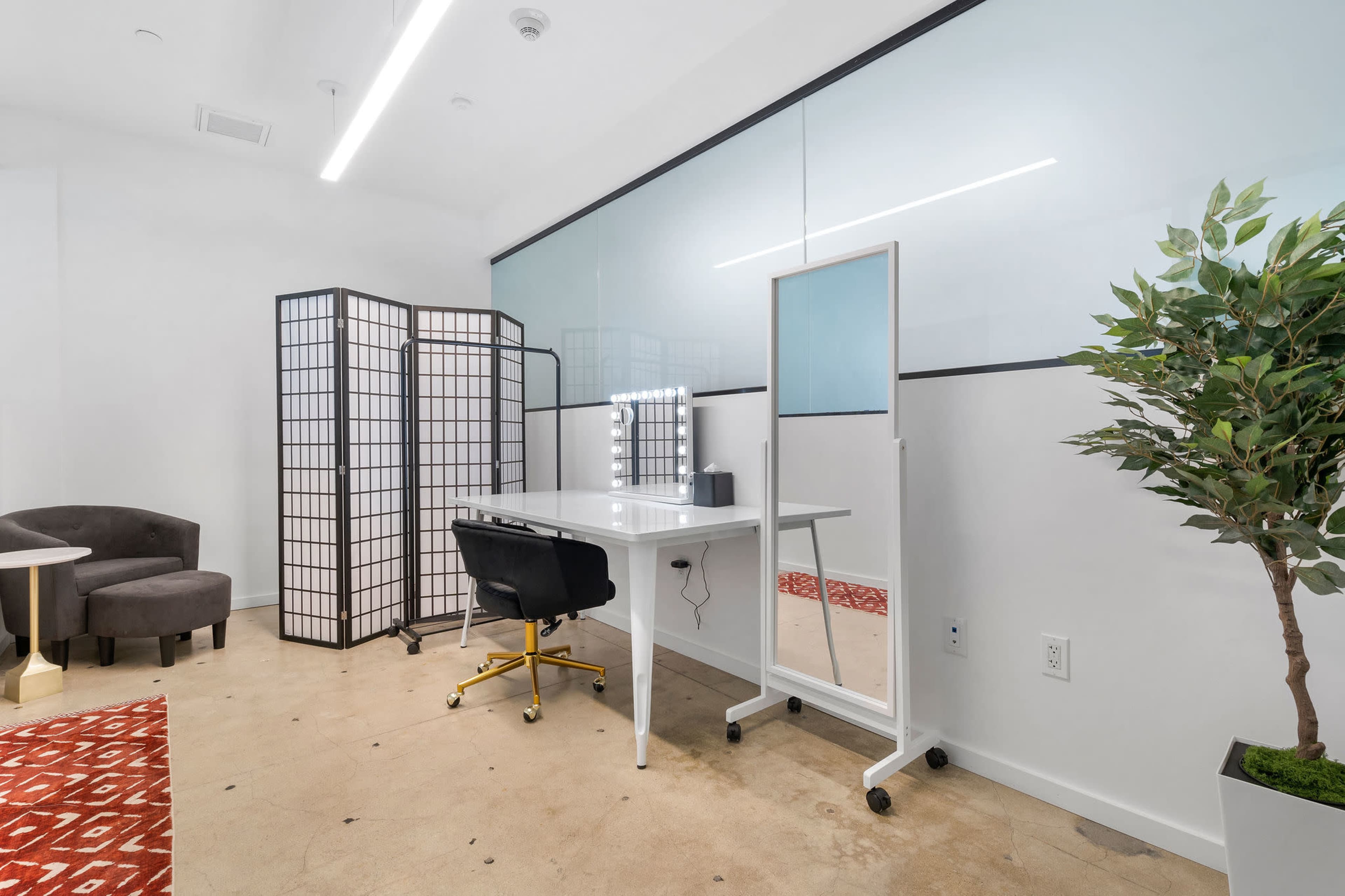 A modern workspace featuring a desk with a mirror, a black chair, a room divider, and a decorative plant, all set against a light-colored wall.