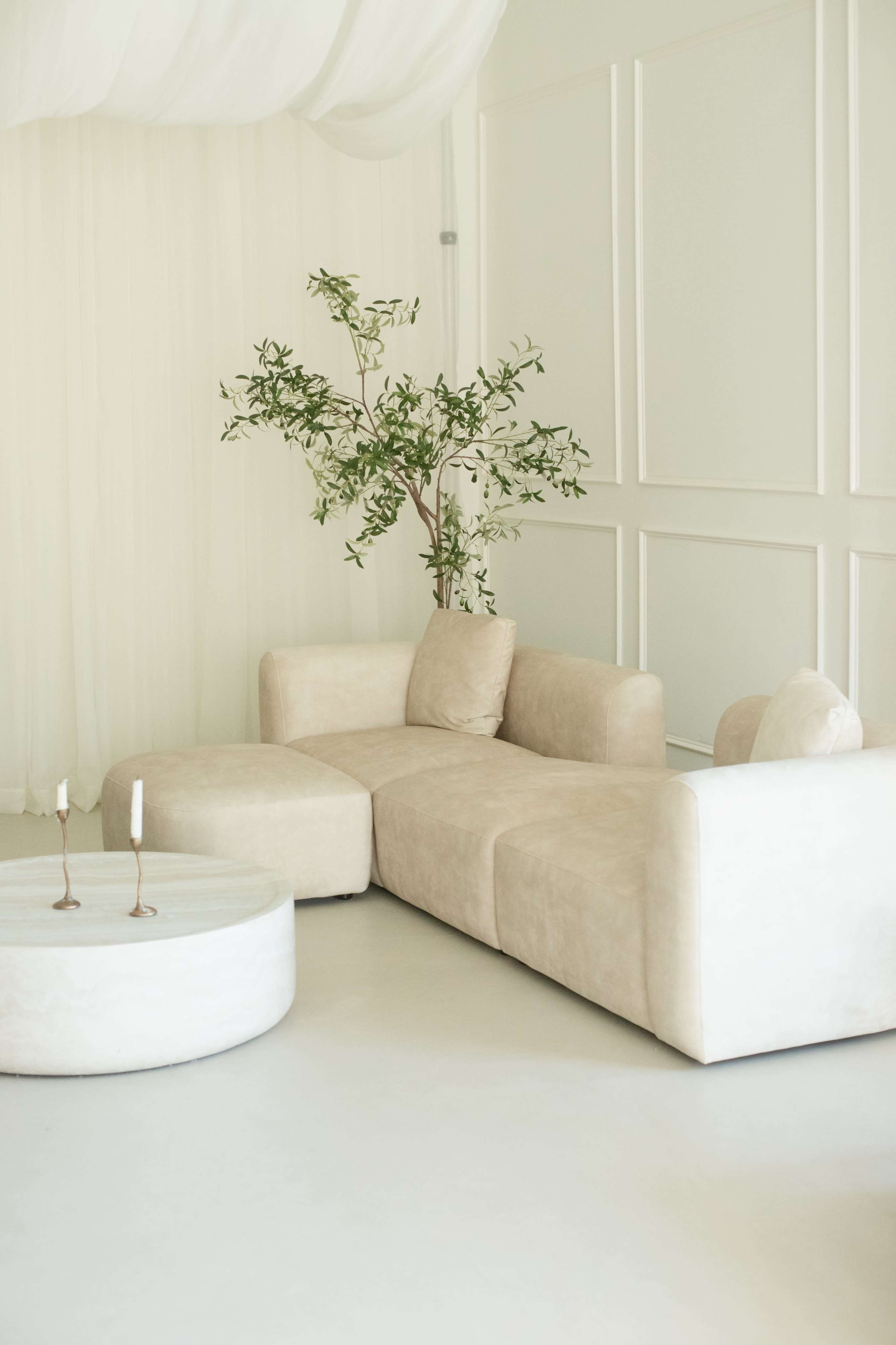 A light-colored sectional sofa and a round coffee table are arranged in a minimalist room with a decorative plant in the background.