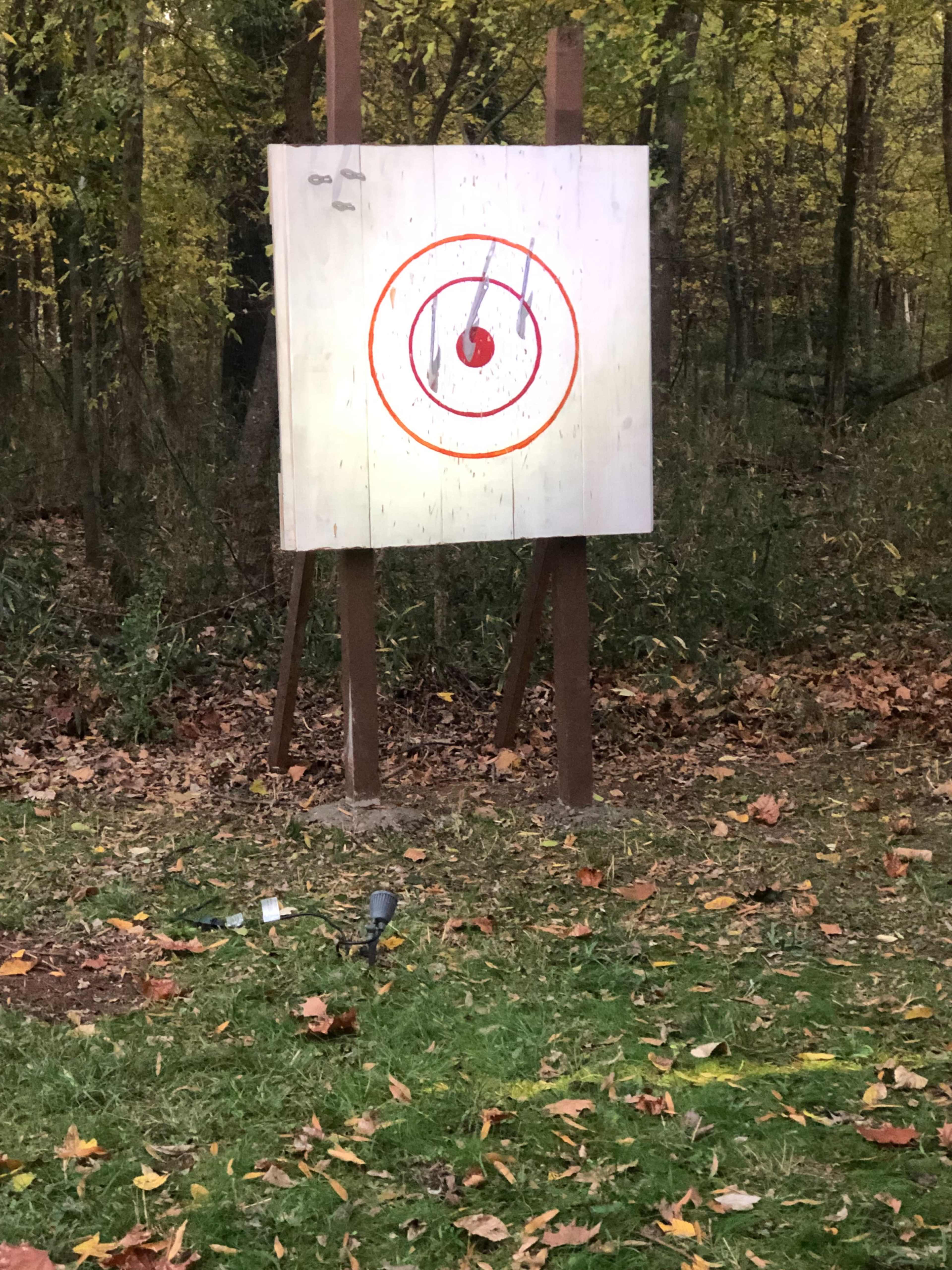 A wooden target with concentric red circles is mounted on a stand in a forested area, surrounded by fallen leaves and debris.