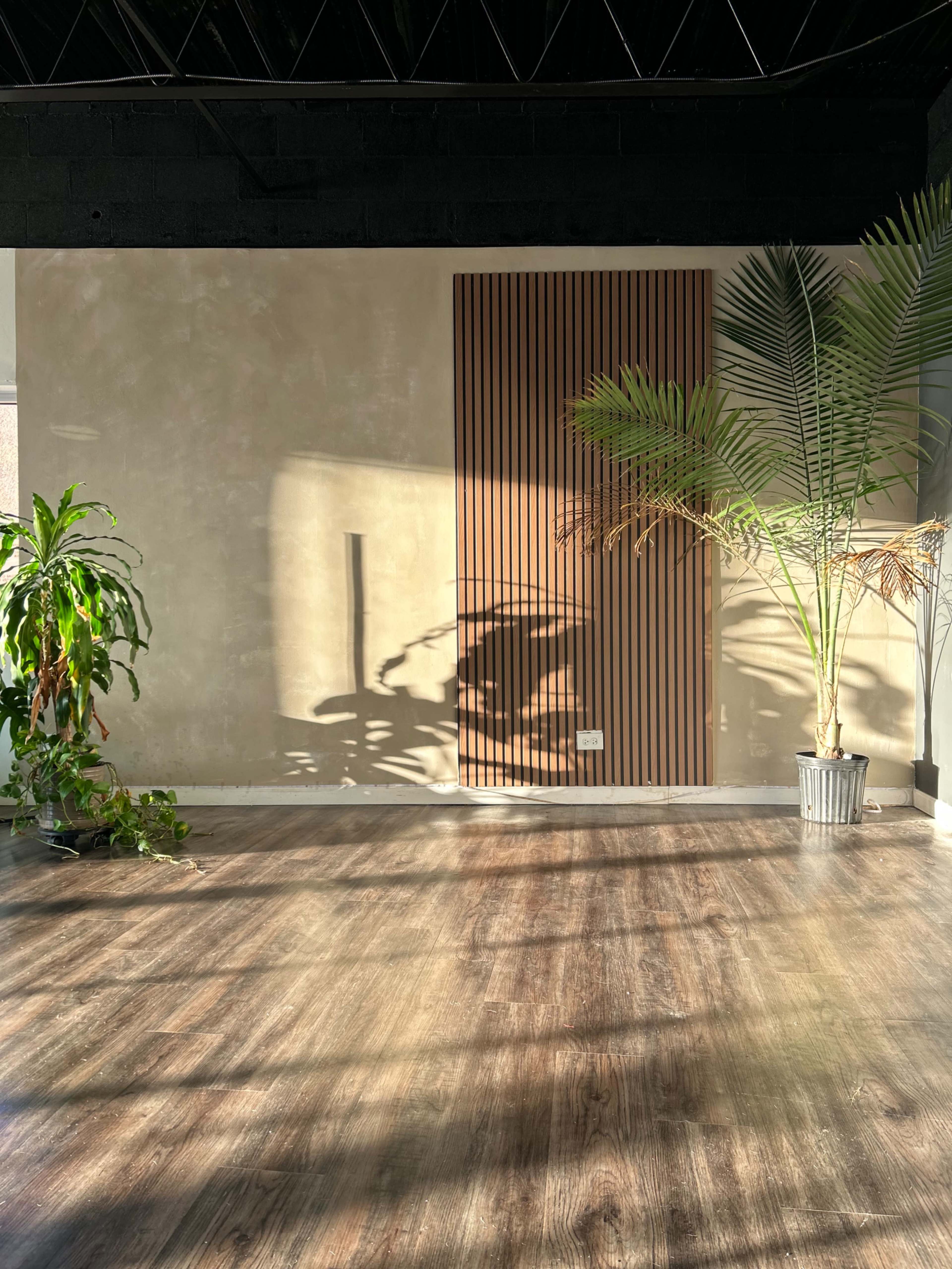A sunlit room features two potted plants and a wall with vertical wood slats casting shadows onto the floor.
