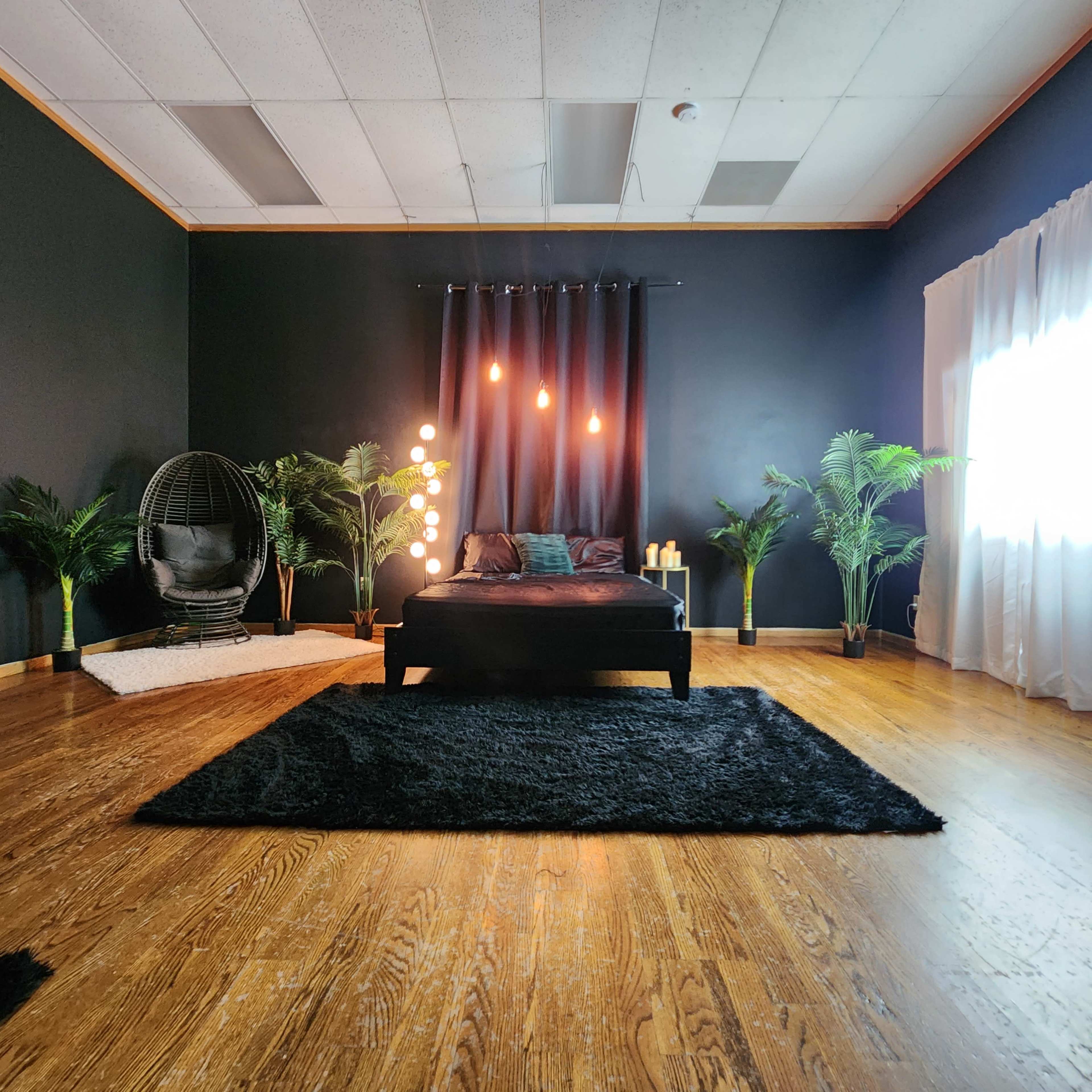 A room with dark walls, a bed with decorative pillows, a hanging light fixture, and potted plants, all set on wooden flooring with a large black rug.