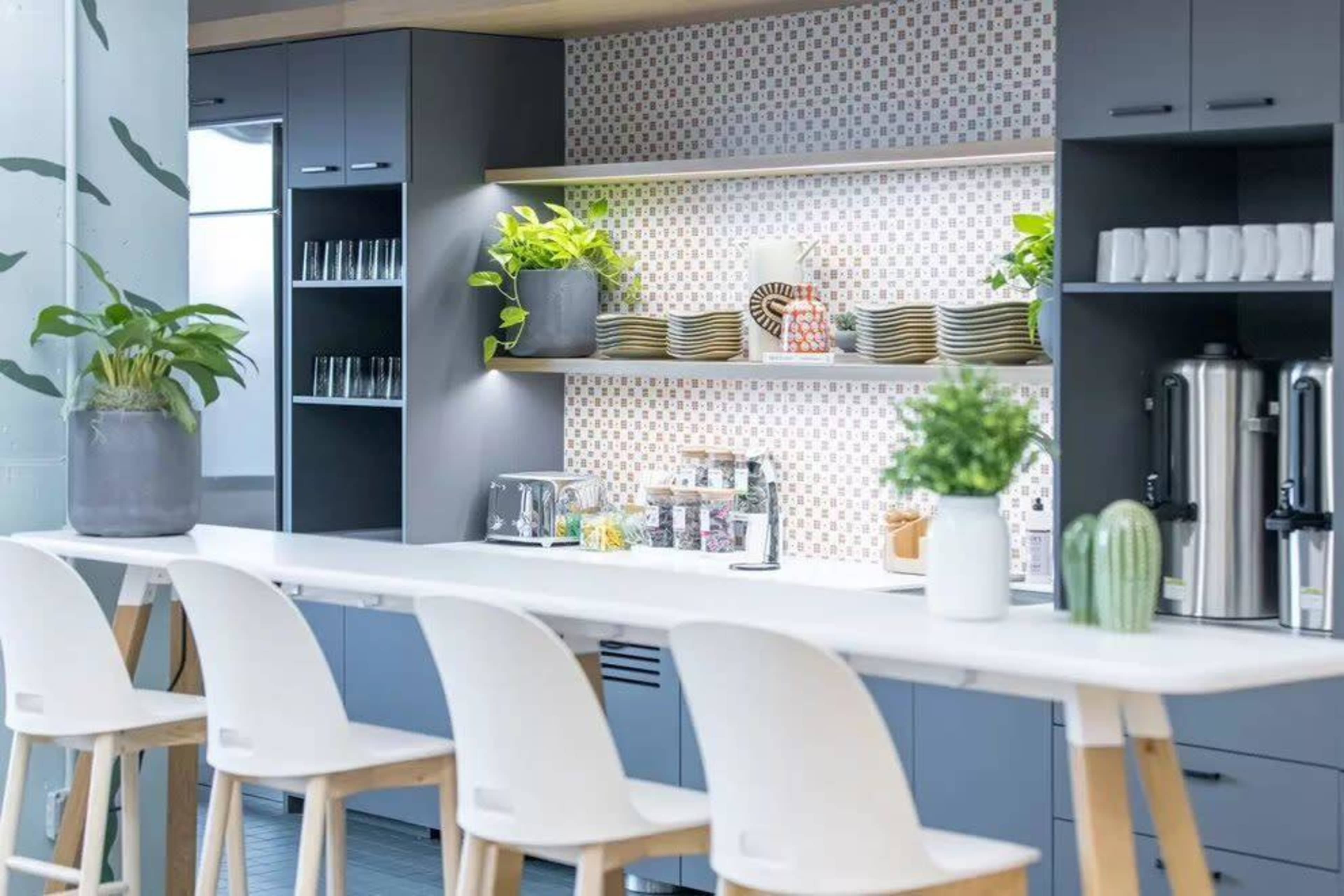 A modern kitchen area with a clean countertop, shelves displaying plants and dishware, and seating along one side.
