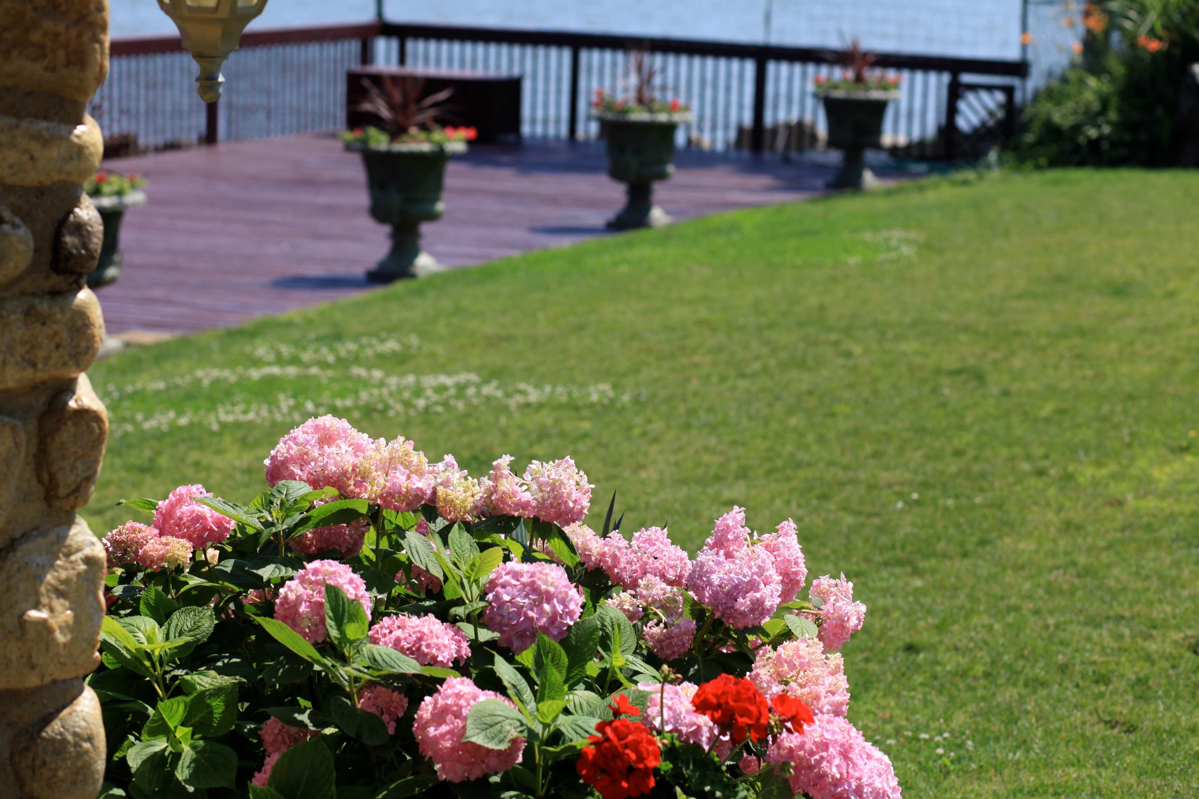 A flower bed with pink hydrangeas and red geraniums is in the foreground, with a wooden deck and planters in the background by the water.