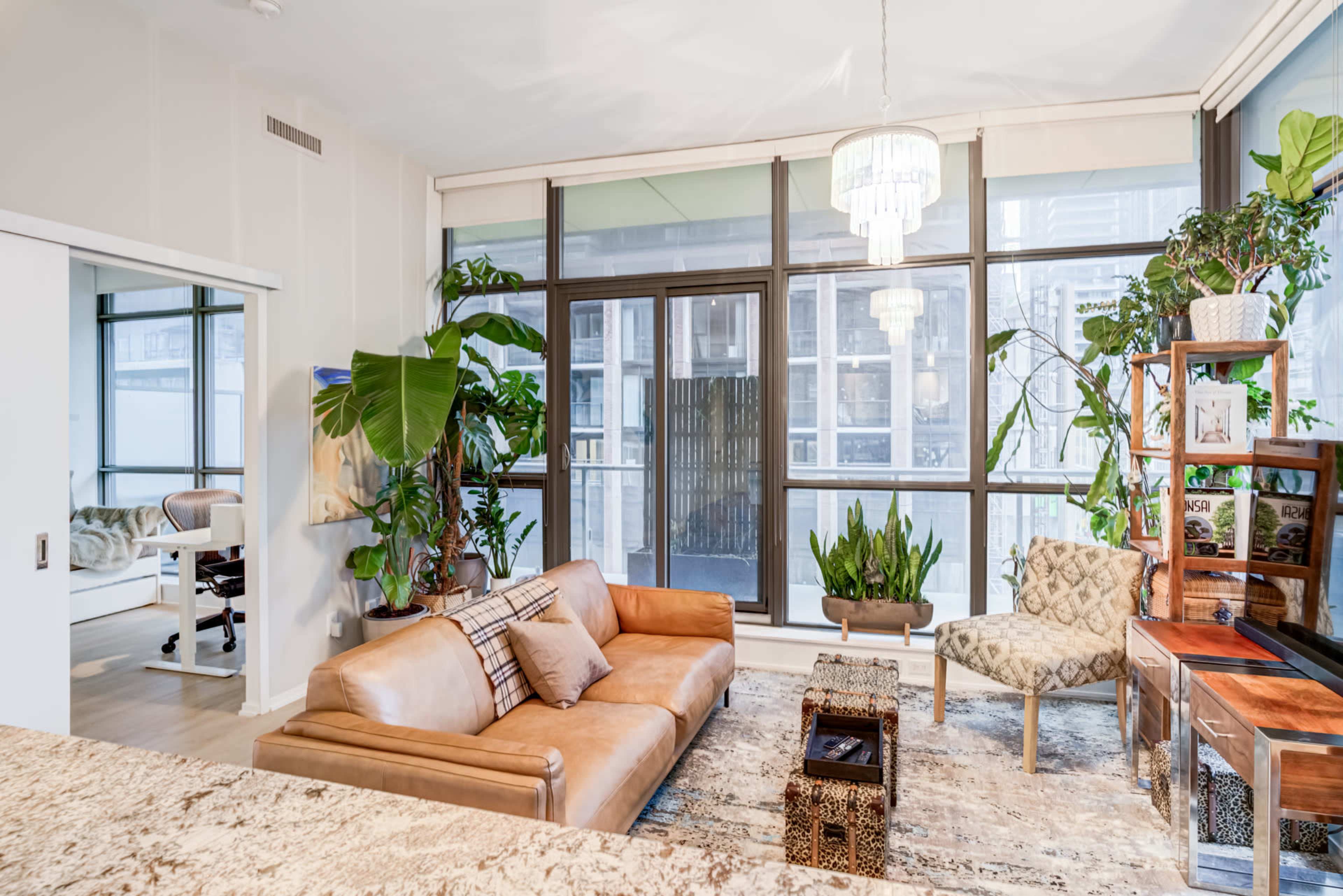 The image shows a modern living room featuring a brown leather sofa, a patterned area rug, plants, and large windows that allow natural light to fill the space.