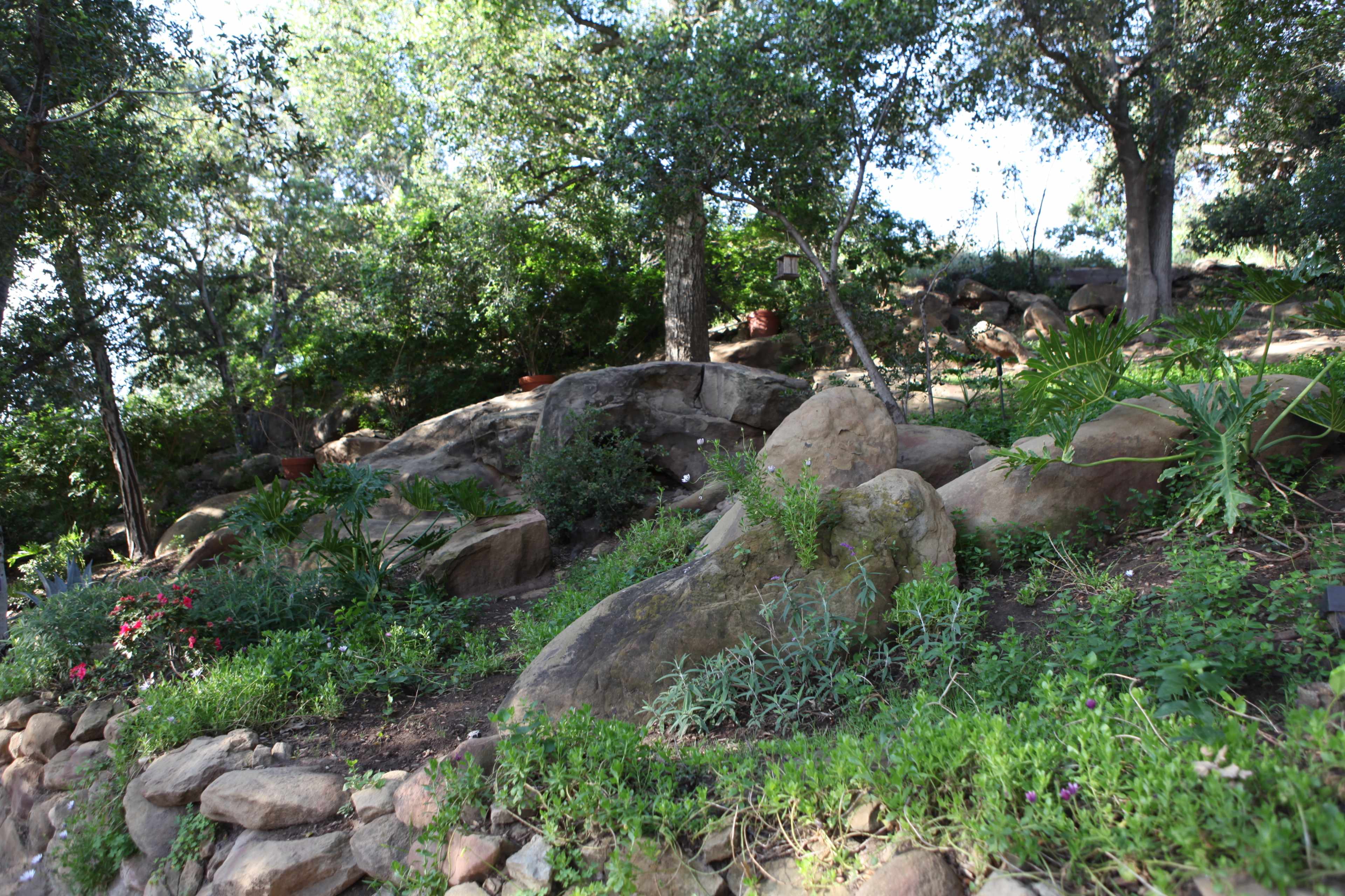 A rocky landscape features various plants and shrubs among the boulders and trees.