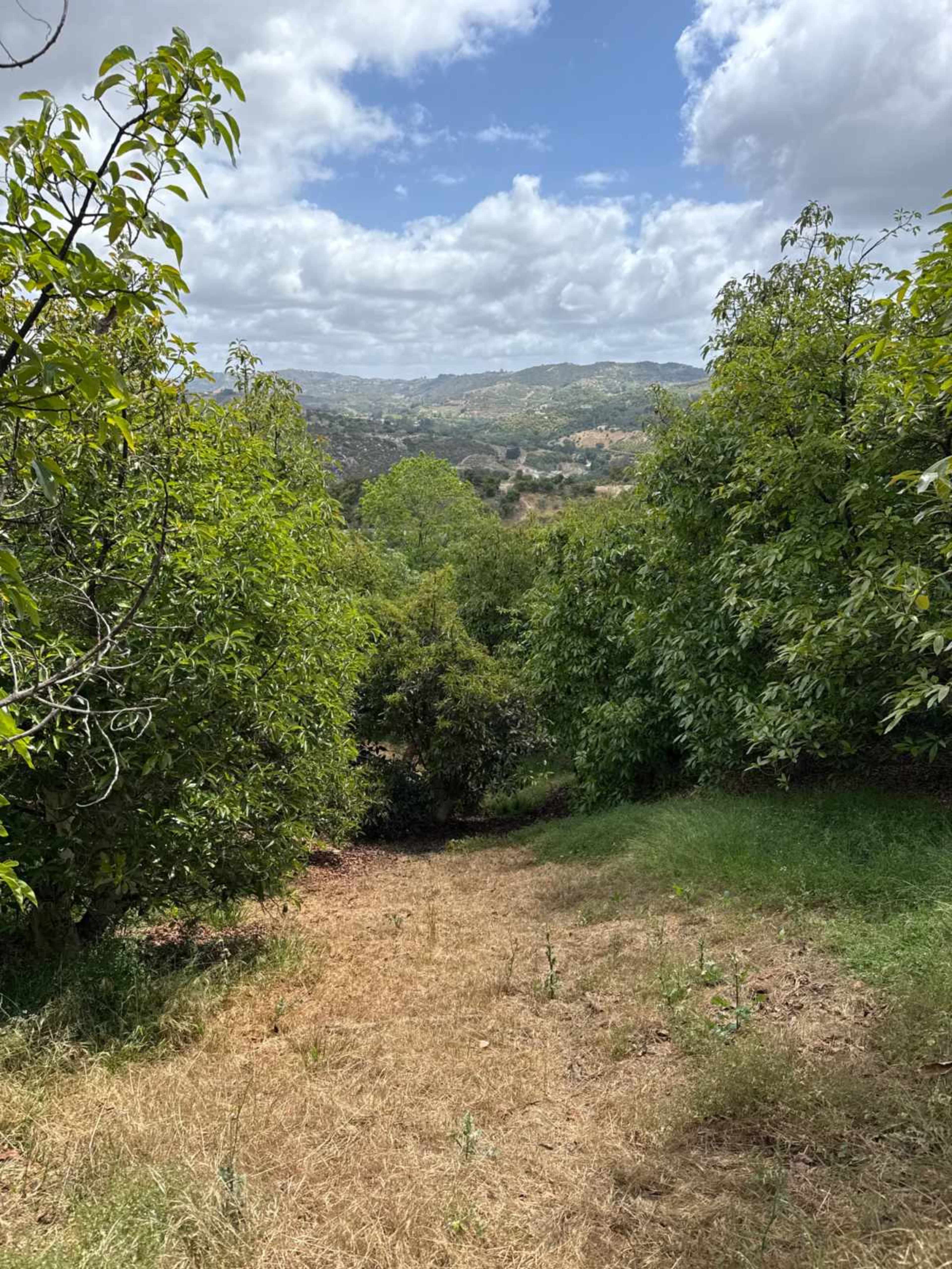 Private Avocado Ranch with Cinematic Hillside Views Image in , Temecula, CA