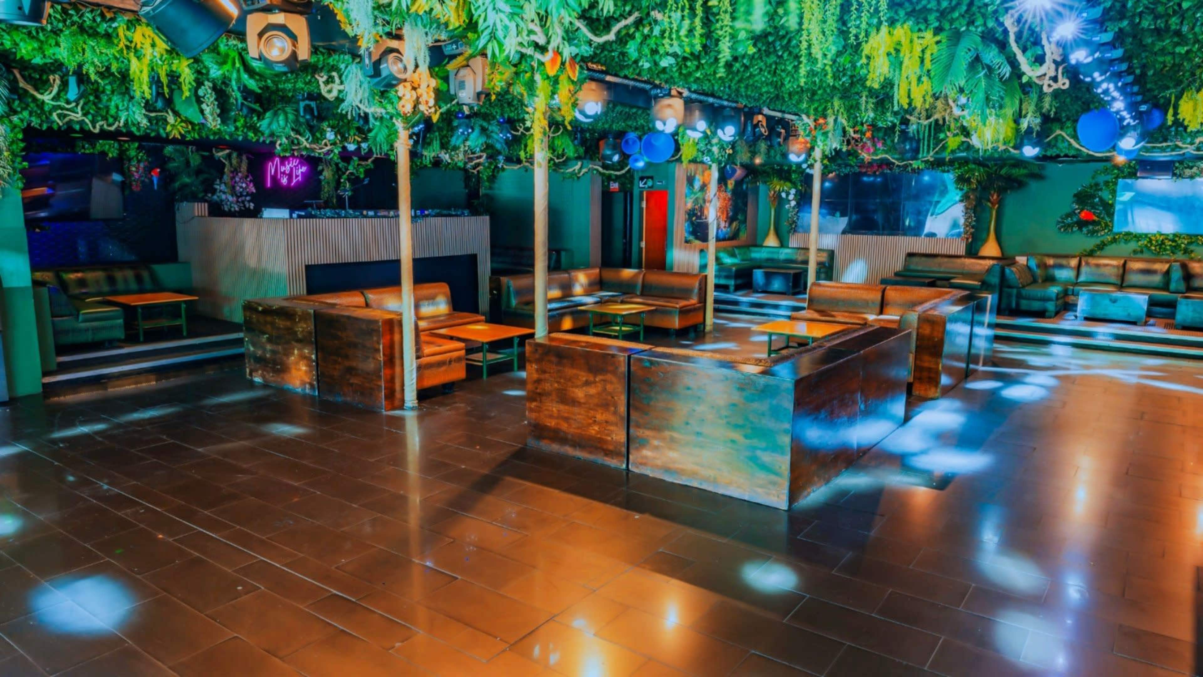 A spacious indoor venue with wooden seating and a ceiling adorned with greenery and colorful lights.