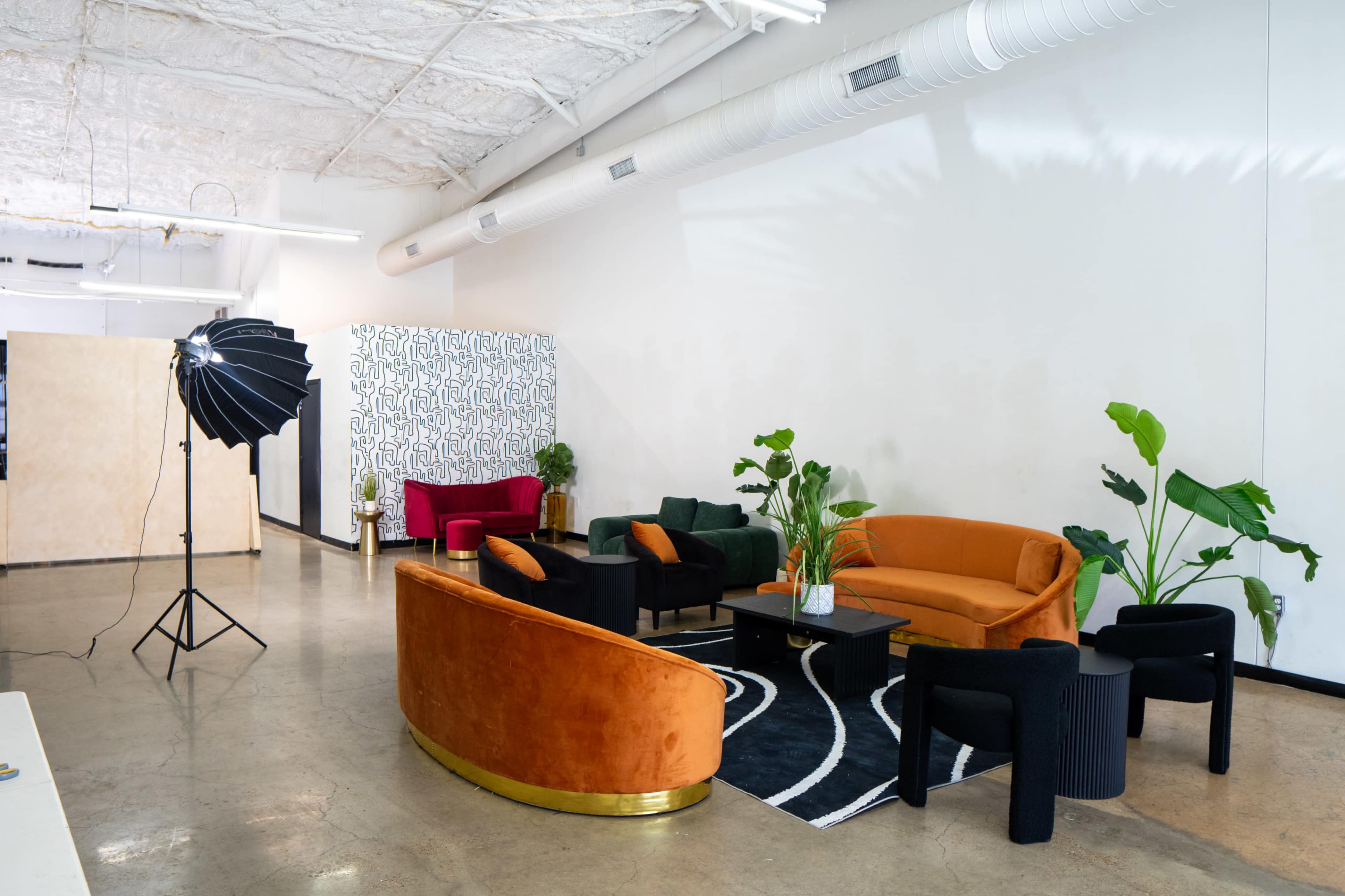 The image shows a spacious room with a variety of brightly colored couches and plants, arranged around a black and white rug and a small table, with professional lighting equipment set up nearby.