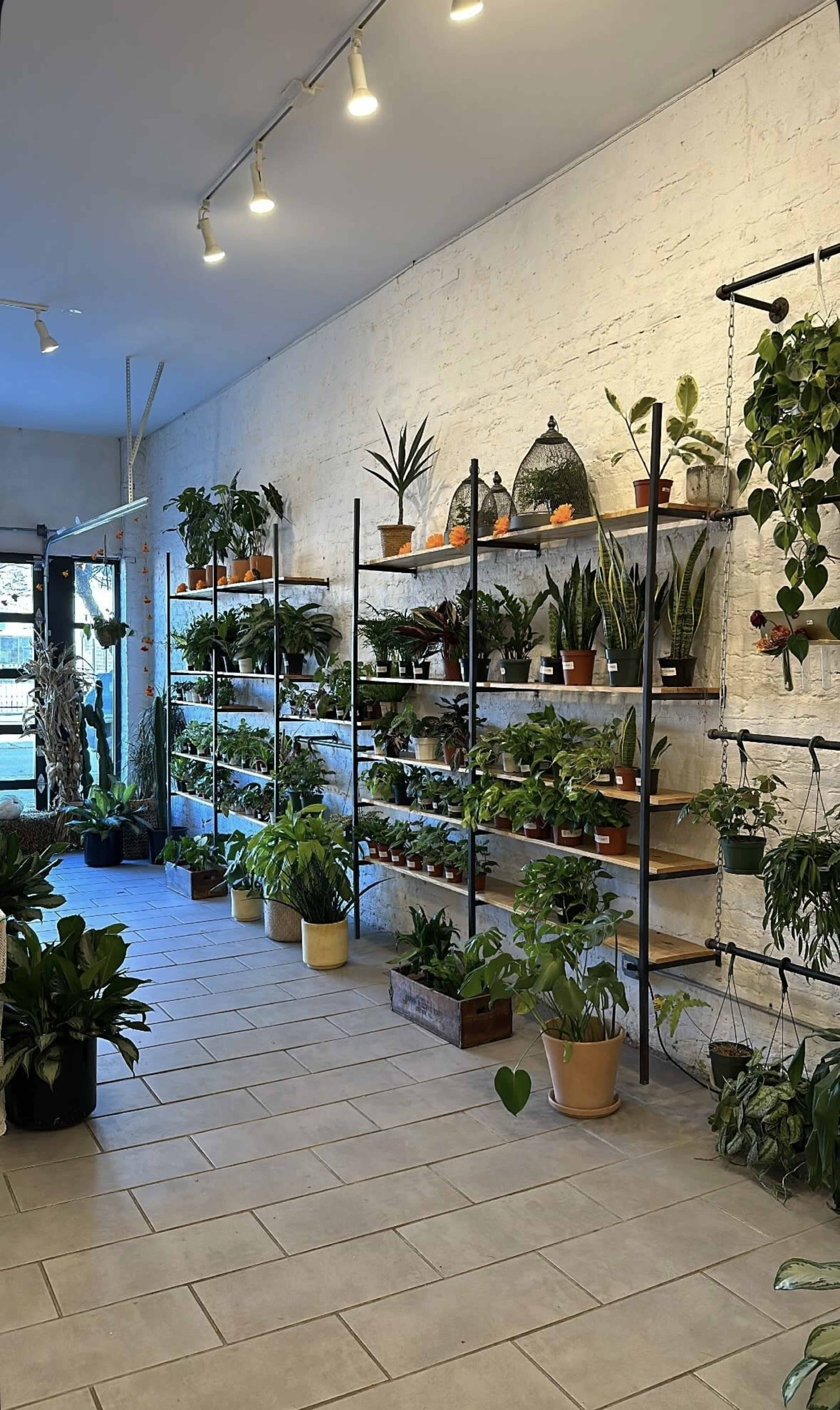 Semillas: A Soulful Space for Shoots, Events & Gatherings Image in Lower West Side, Chicago, IL