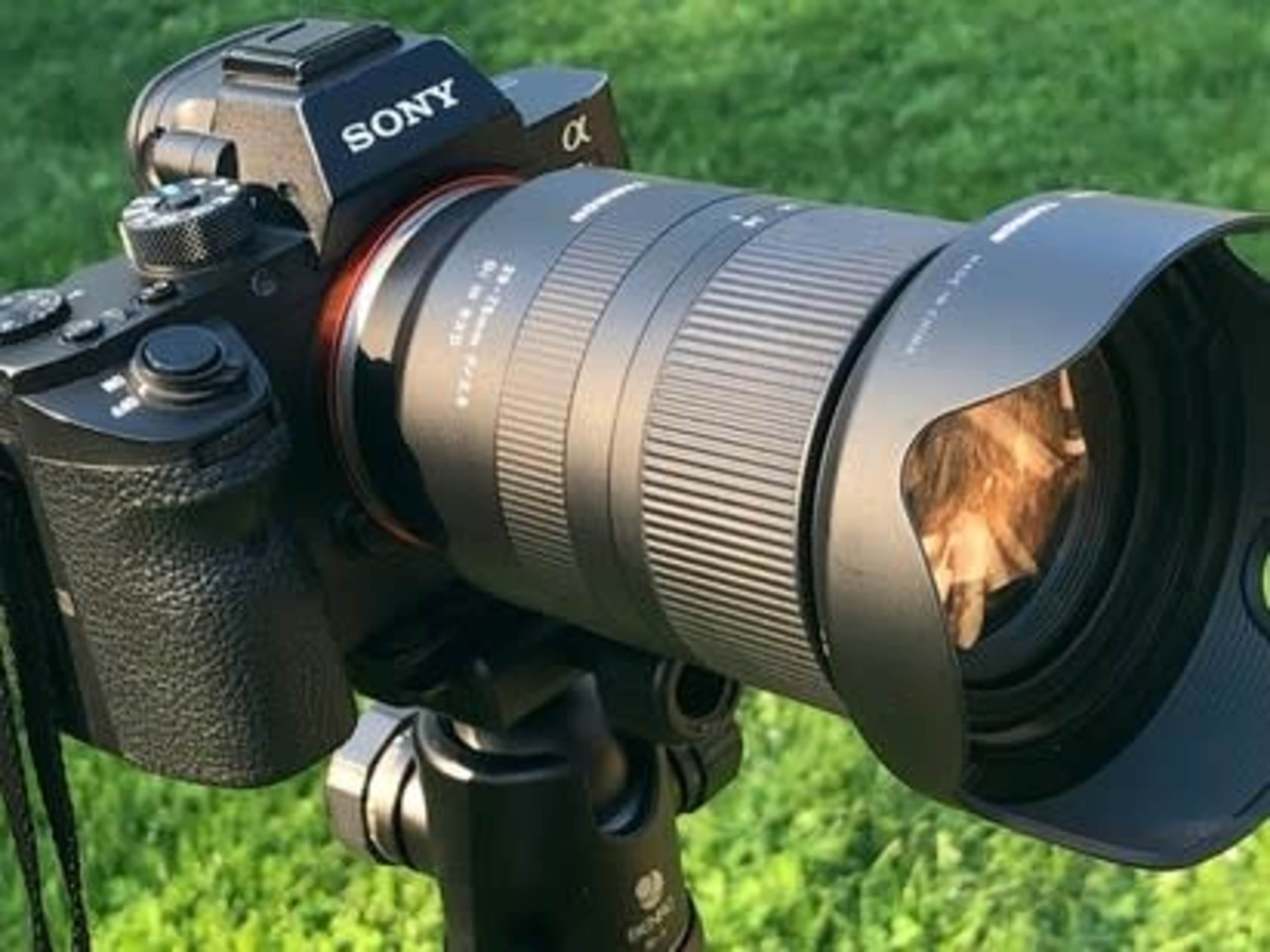 Sony a7 IV Camera + Lens Rental