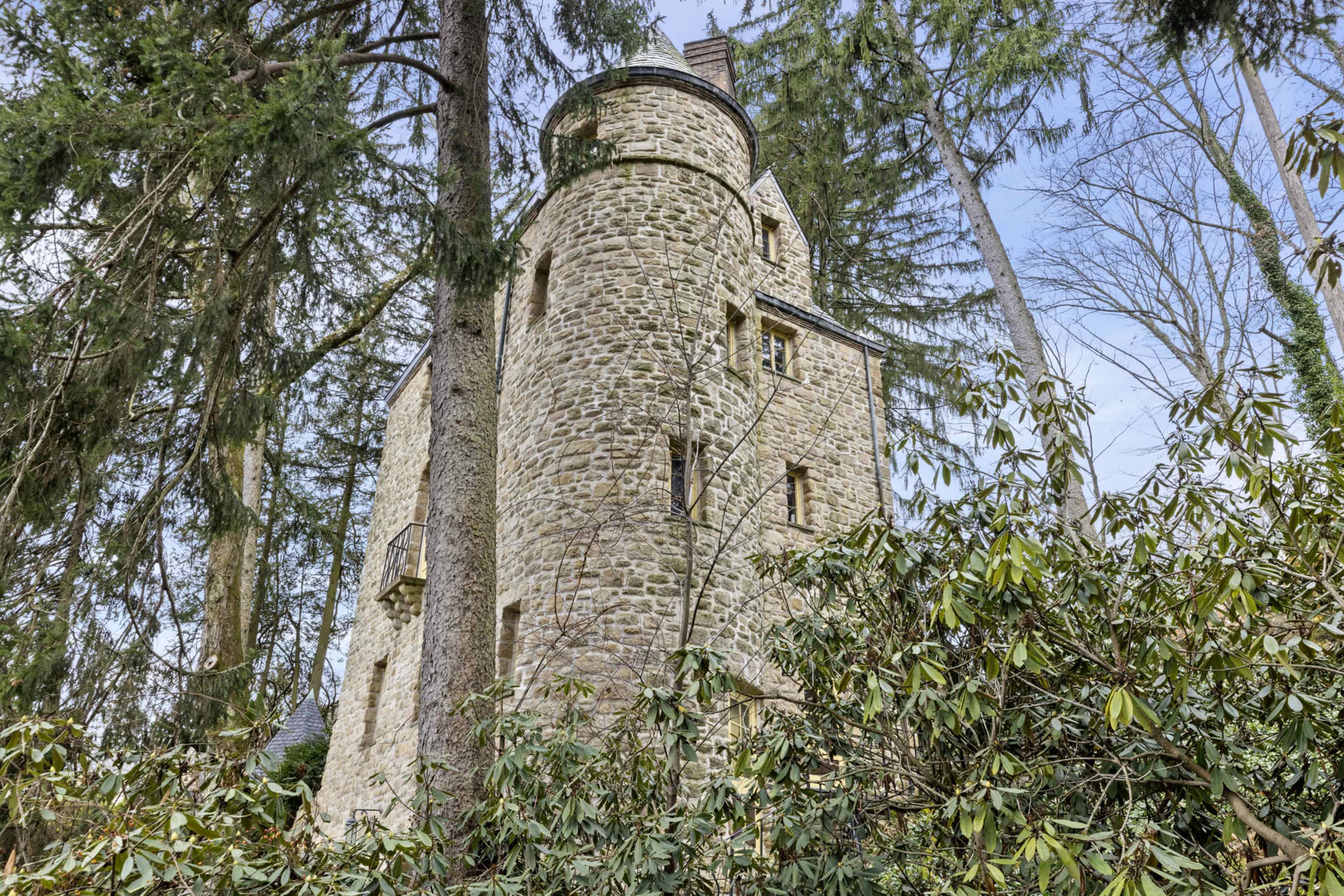 The image shows a stone tower surrounded by tall trees and dense greenery.