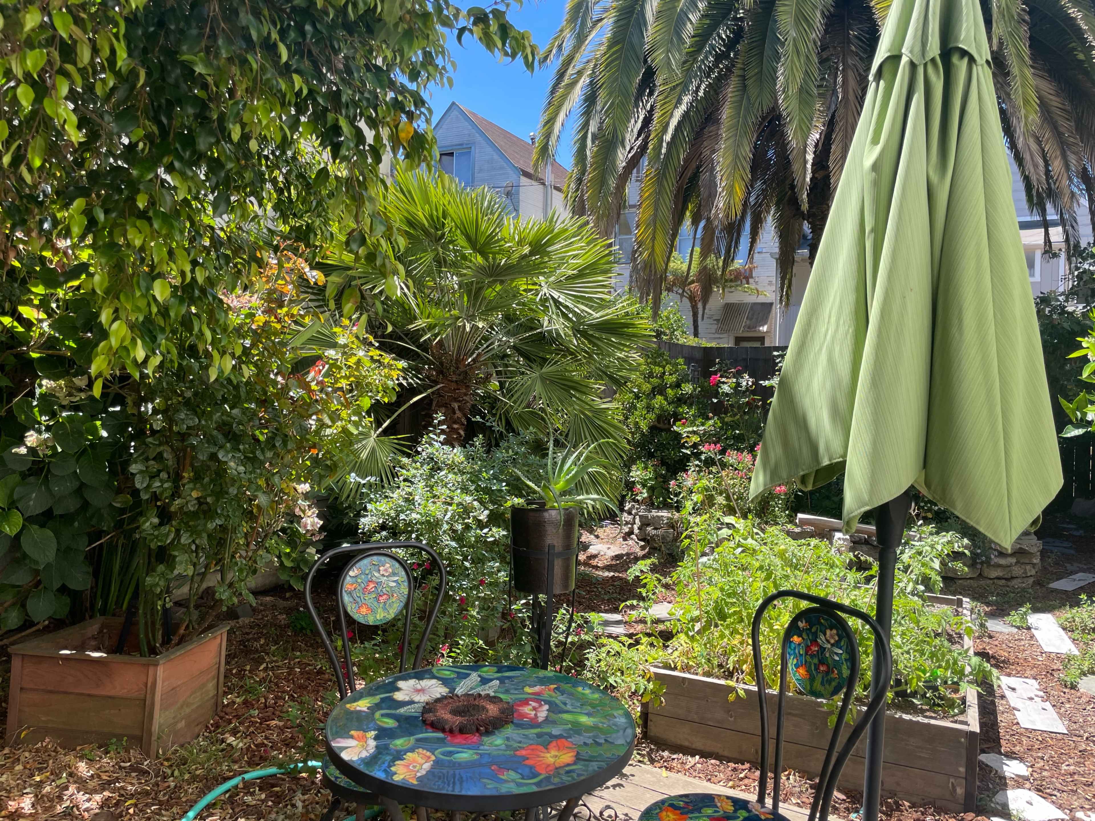 Blossom Oasis: A Lush Backyard Retreat Image in Mission District, San Francisco, CA