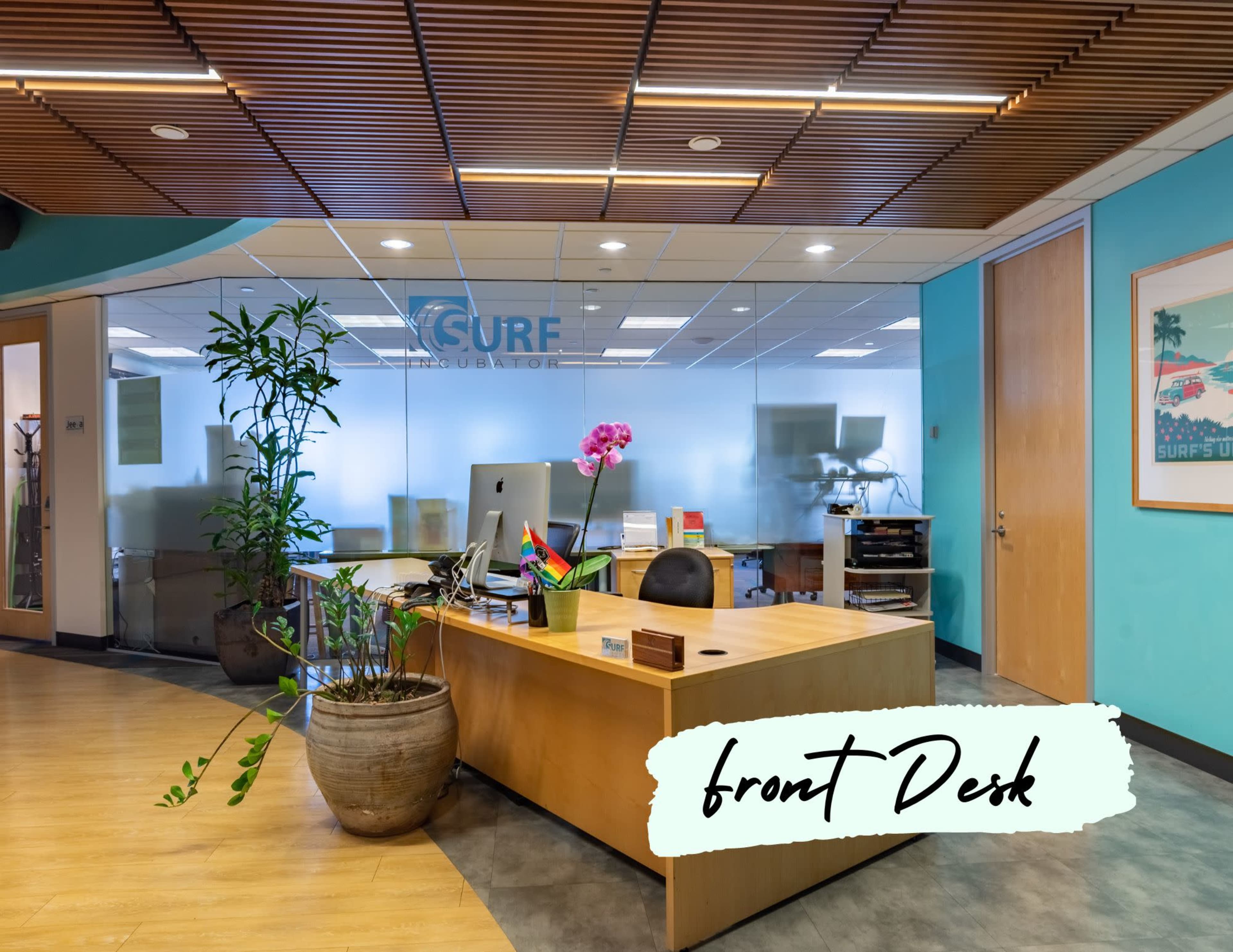 The image shows a modern office reception area with a wooden front desk, potted plants, and a blue wall in the background.