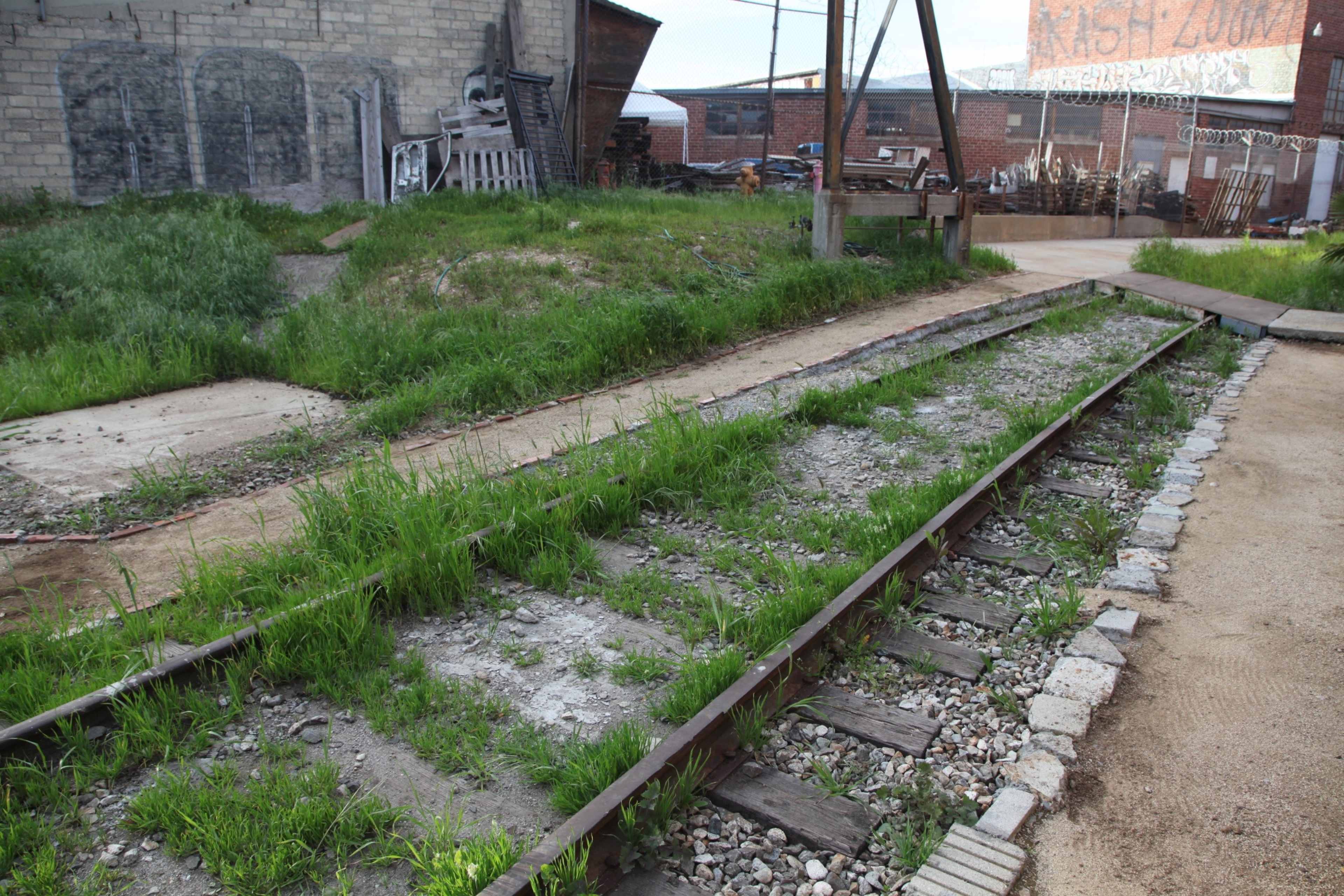 The image shows a set of overgrown railway tracks beside a grassy area and old buildings.