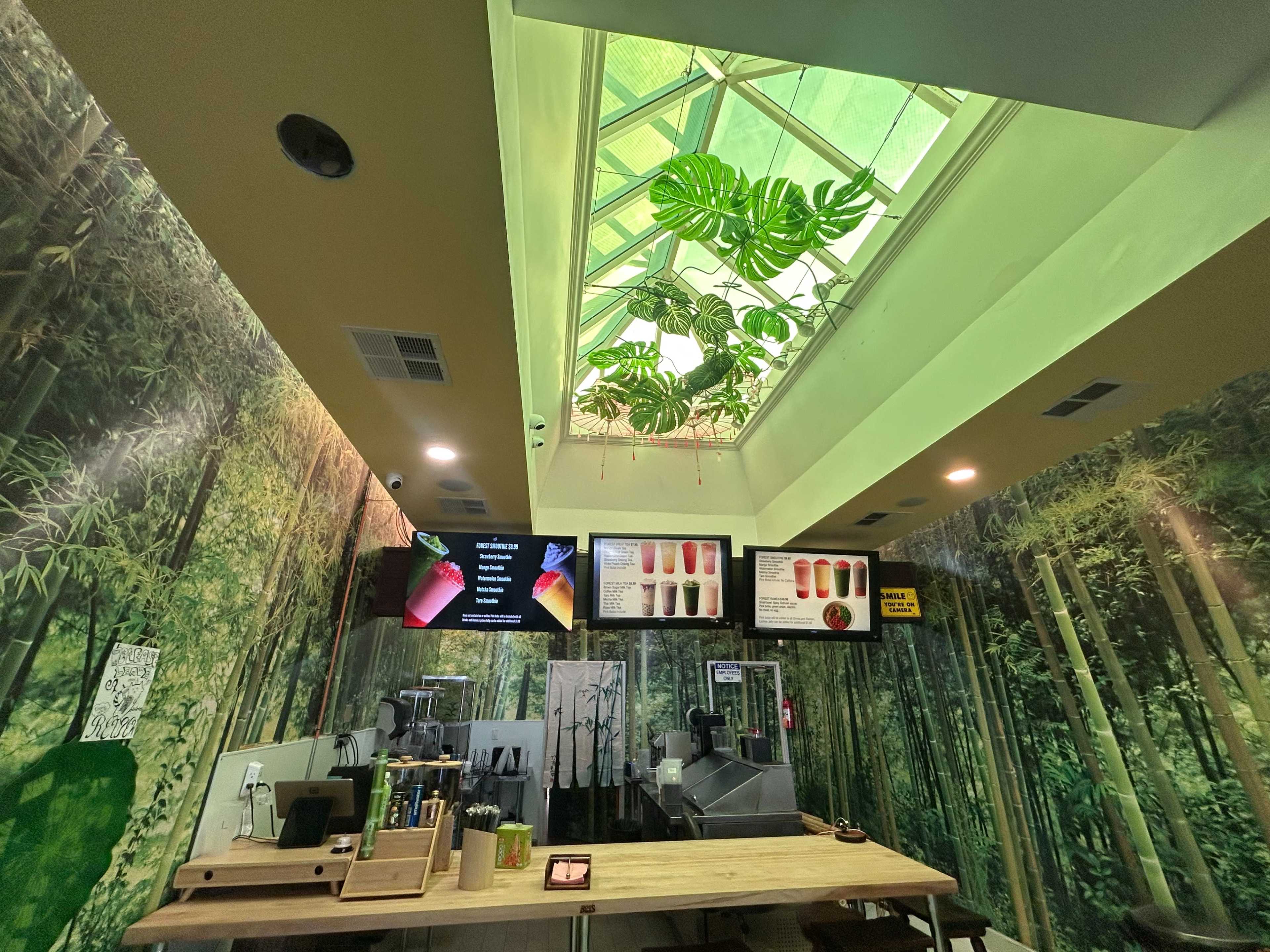 The image displays a cafe interior with a bamboo-themed mural, a wooden counter area, and a glass skylight featuring greenery above.