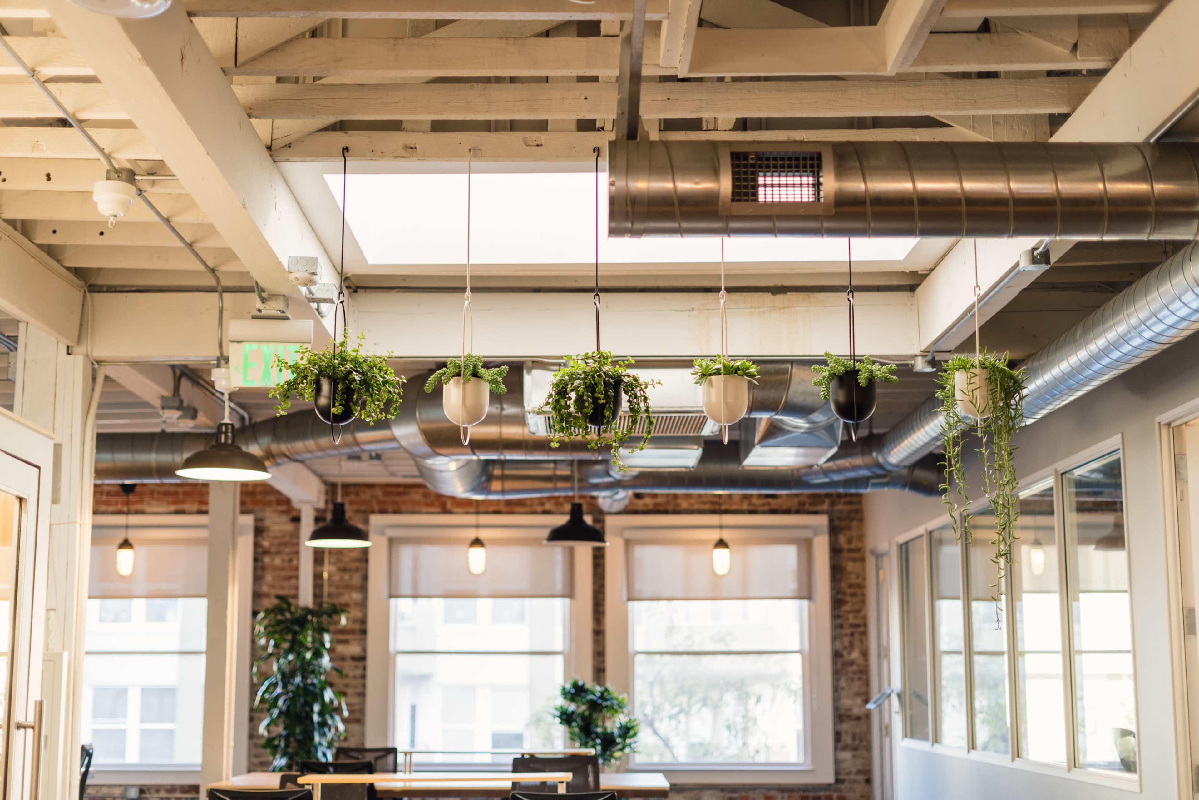 A modern office interior with hanging plants, exposed ductwork, and large windows allowing natural light to enter the space.