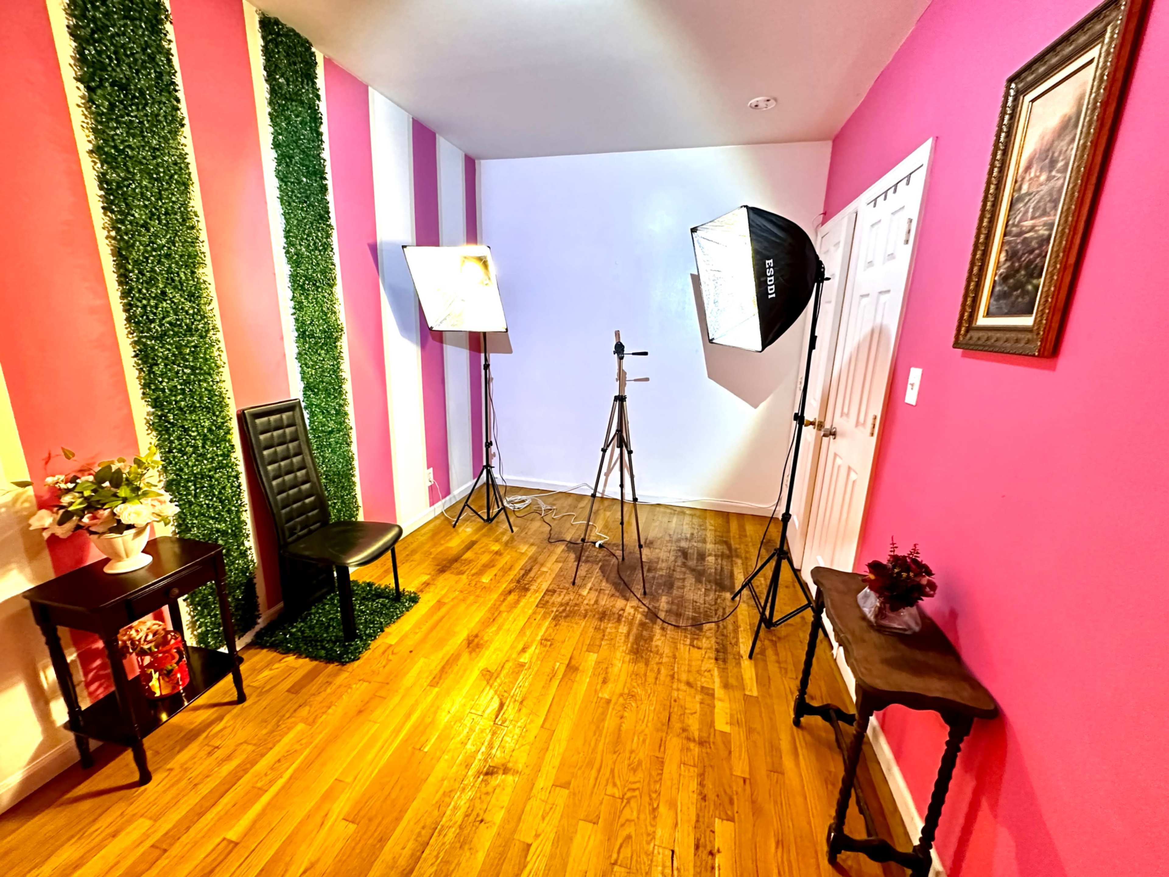 The image shows a small photo studio with a pink and white striped wall, a black chair, two lighting setups, and a small table adorned with plants.
