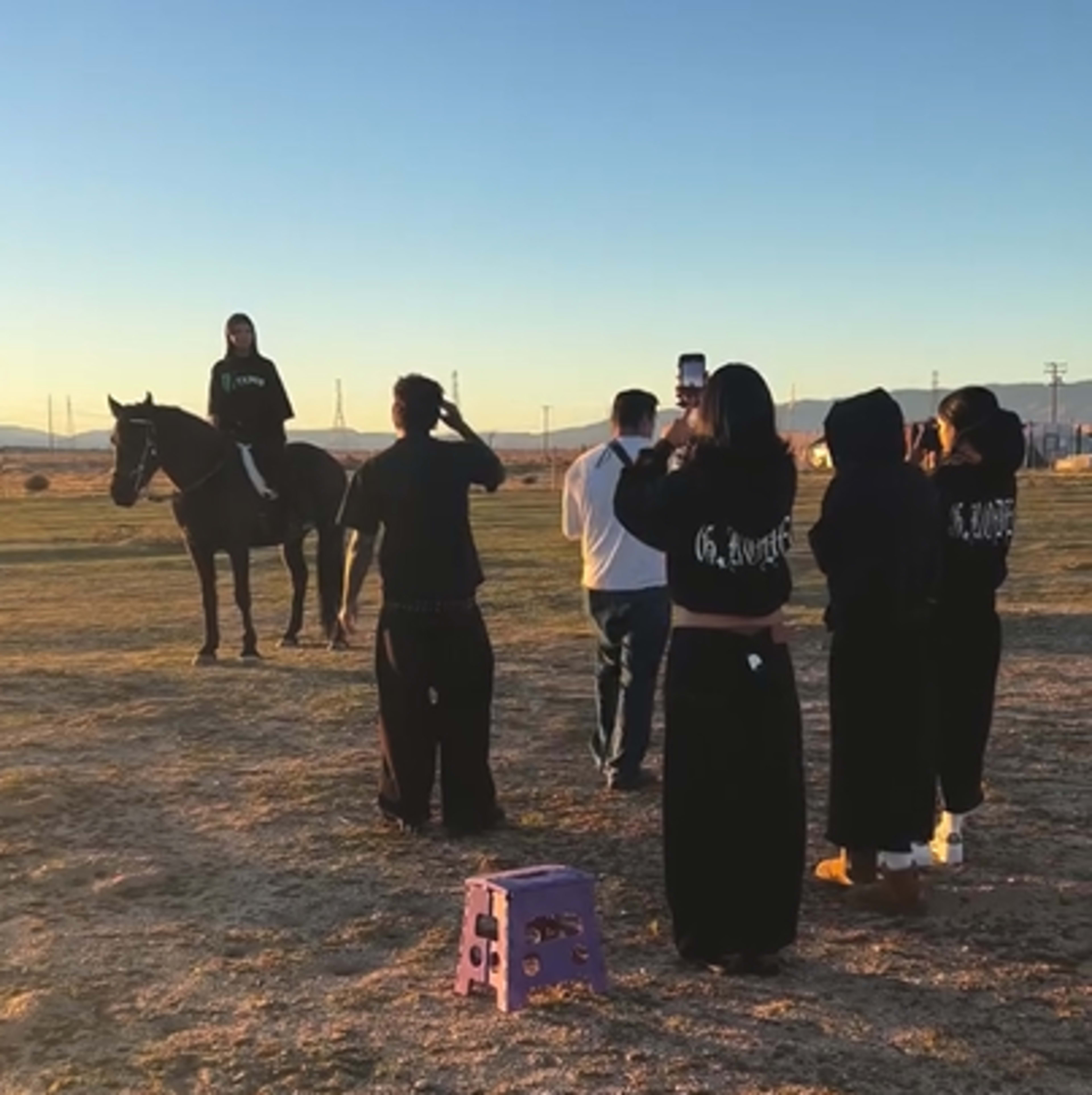 A group of people are gathered in a field, with one person on a horse posing for a photo while others take pictures.