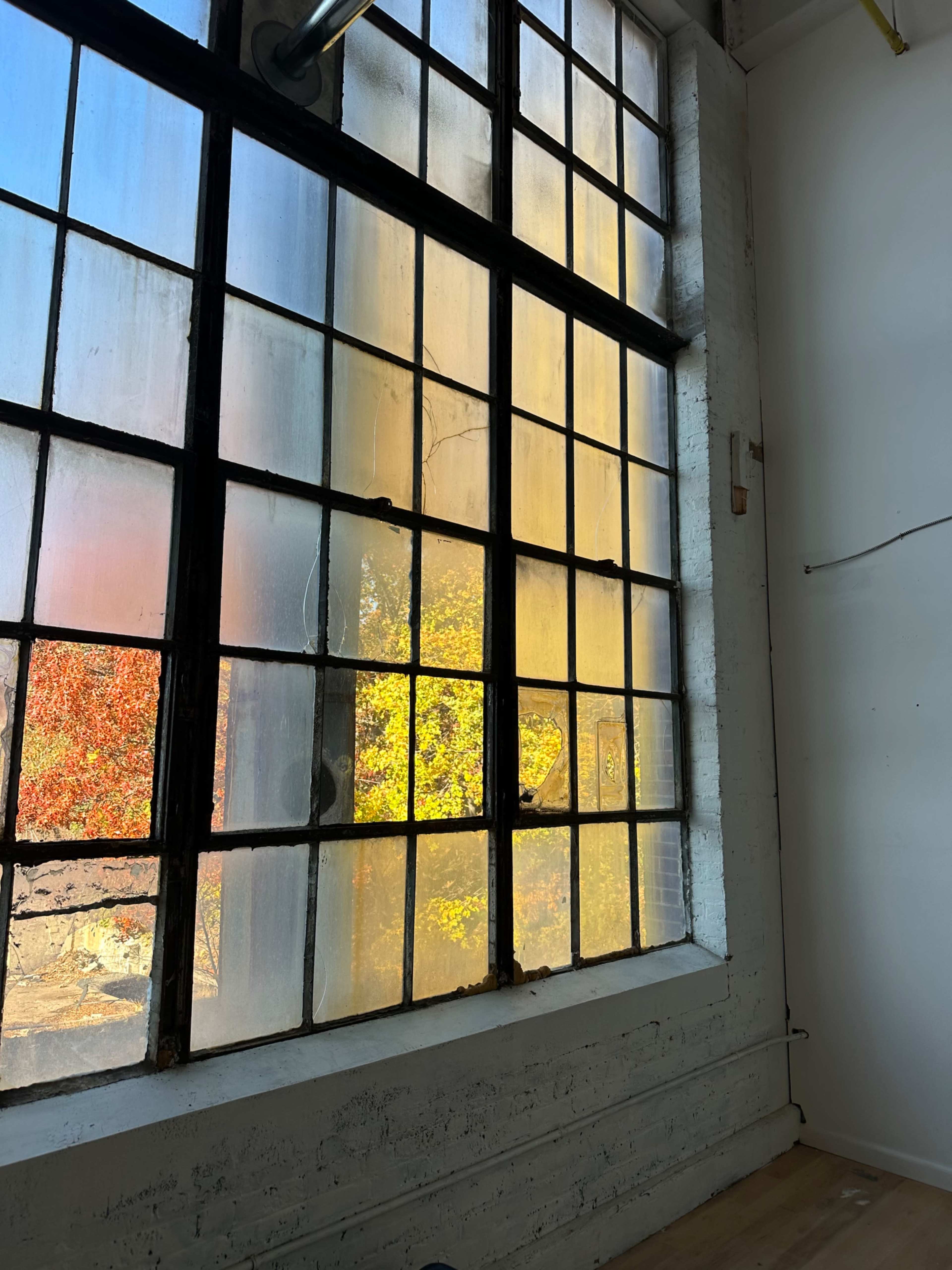 The image shows a large, industrial-style window with multiple panes, revealing a view of colorful autumn trees outside.