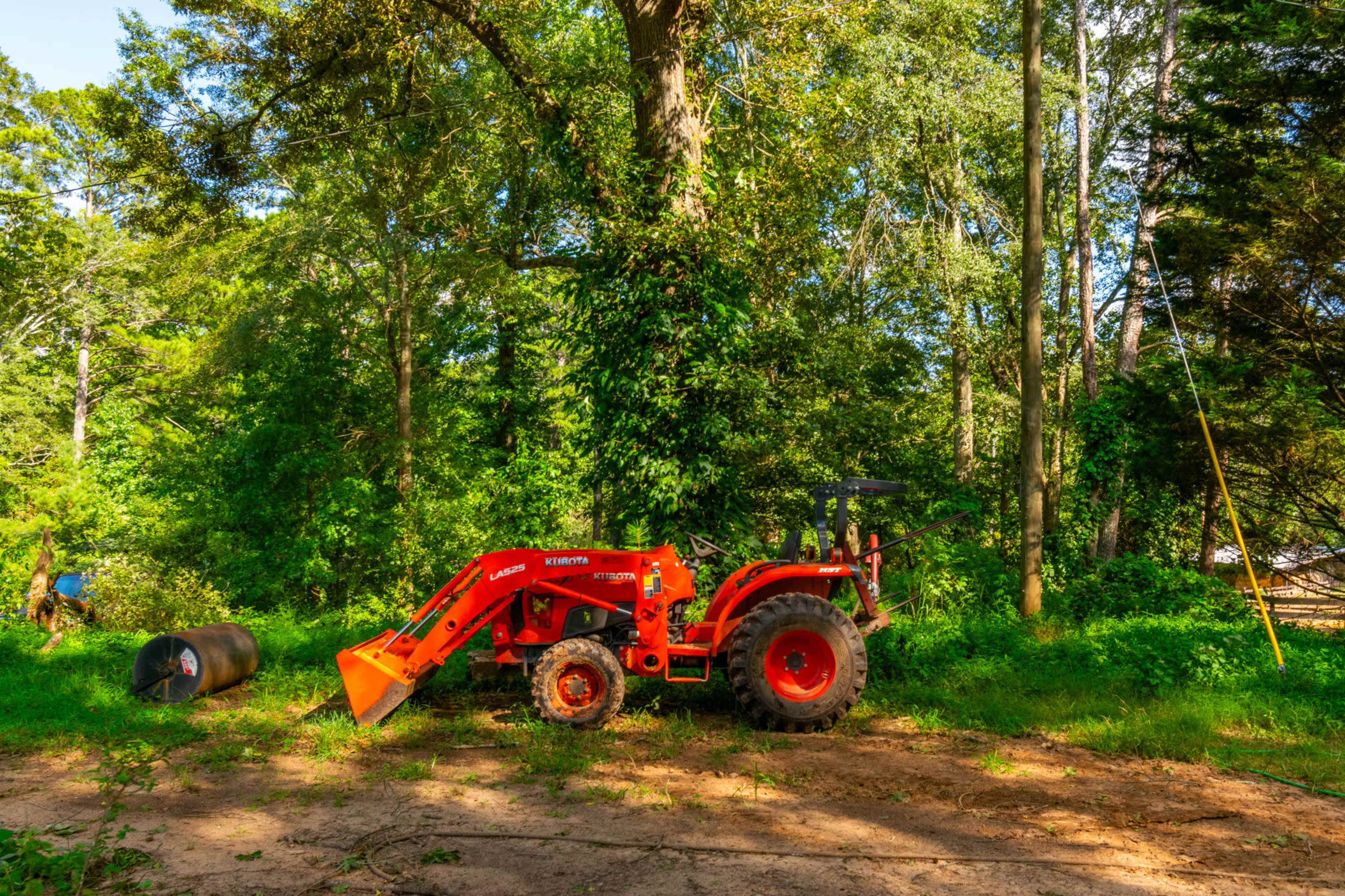 A bright orange tractor is parked on a dirt patch surrounded by dense green trees and vegetation.