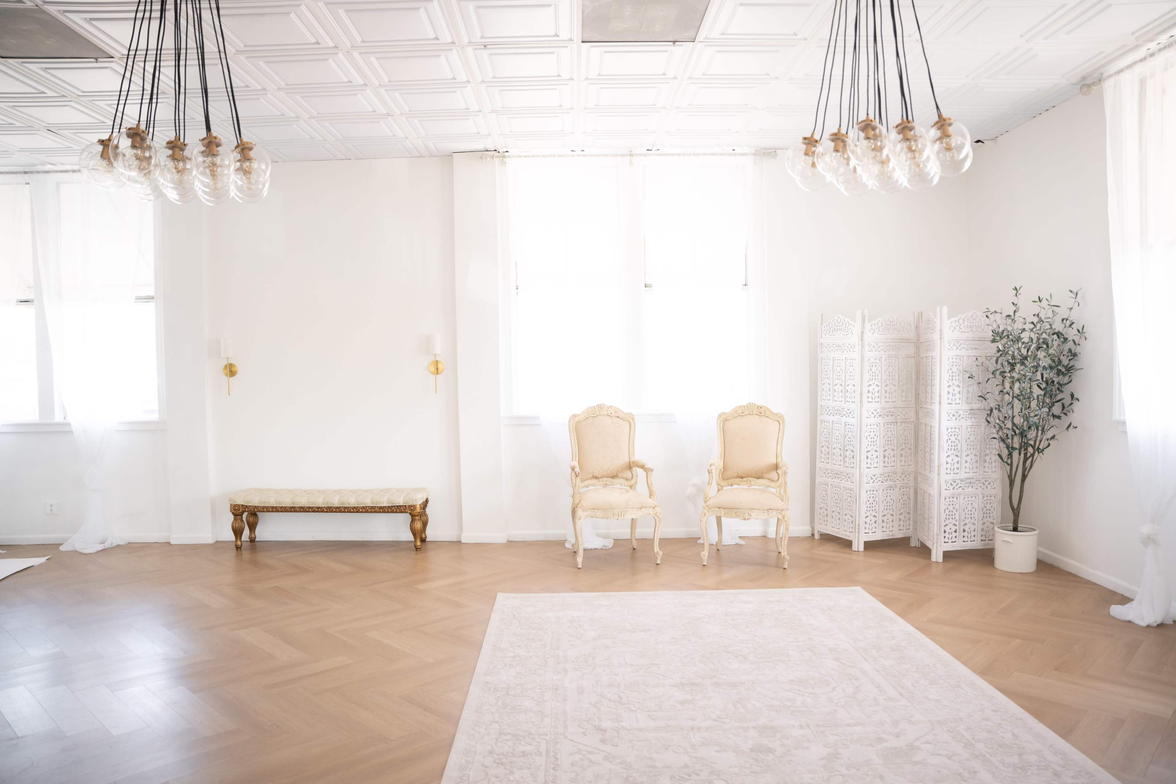 A spacious, well-lit room featuring two ornate chairs, a decorative room divider, a potted plant, and elaborate pendant lights.