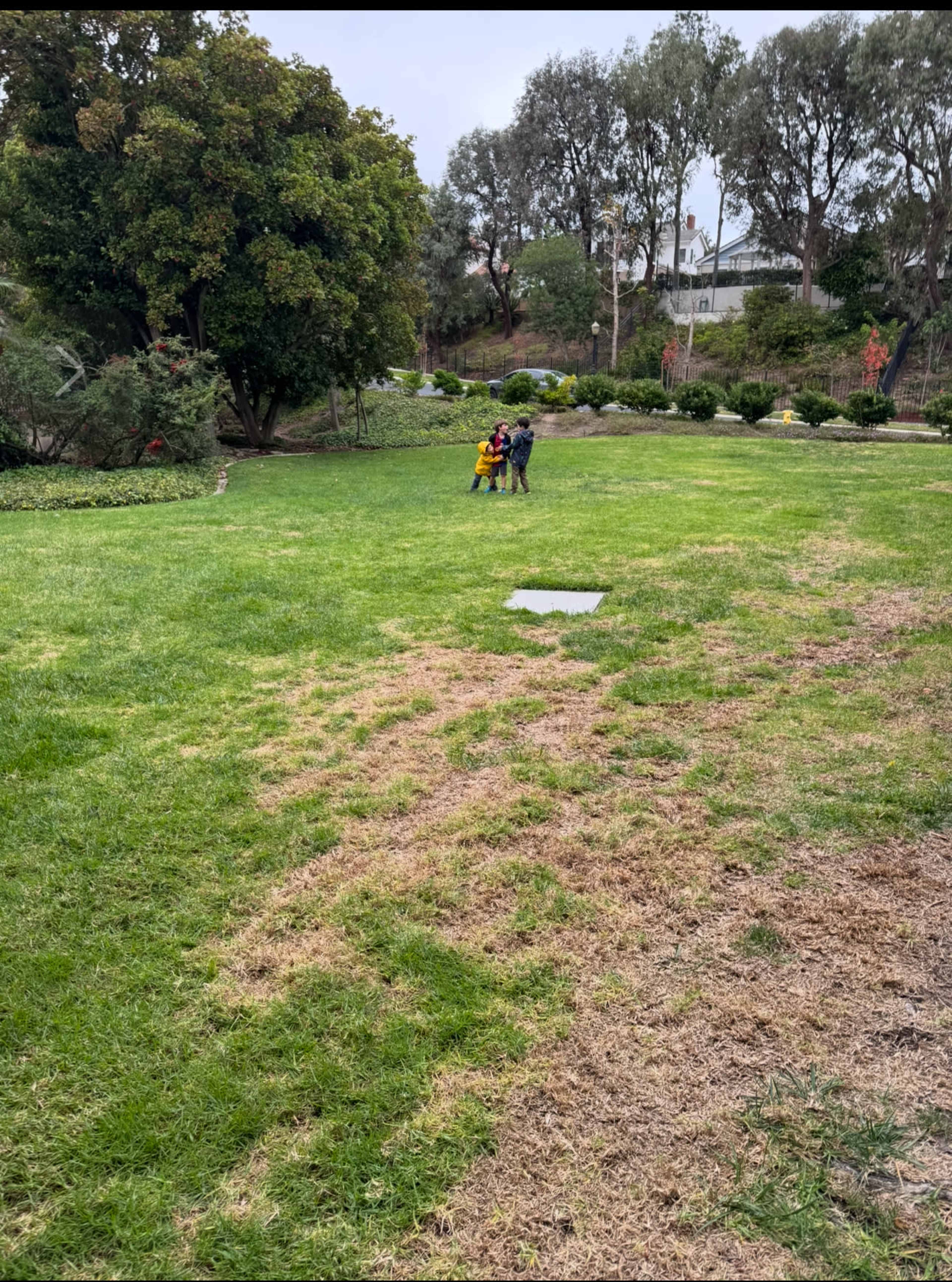 Large, gated, private, golf, grass and space Image in Manhattan Beach, Manhattan Beach, CA