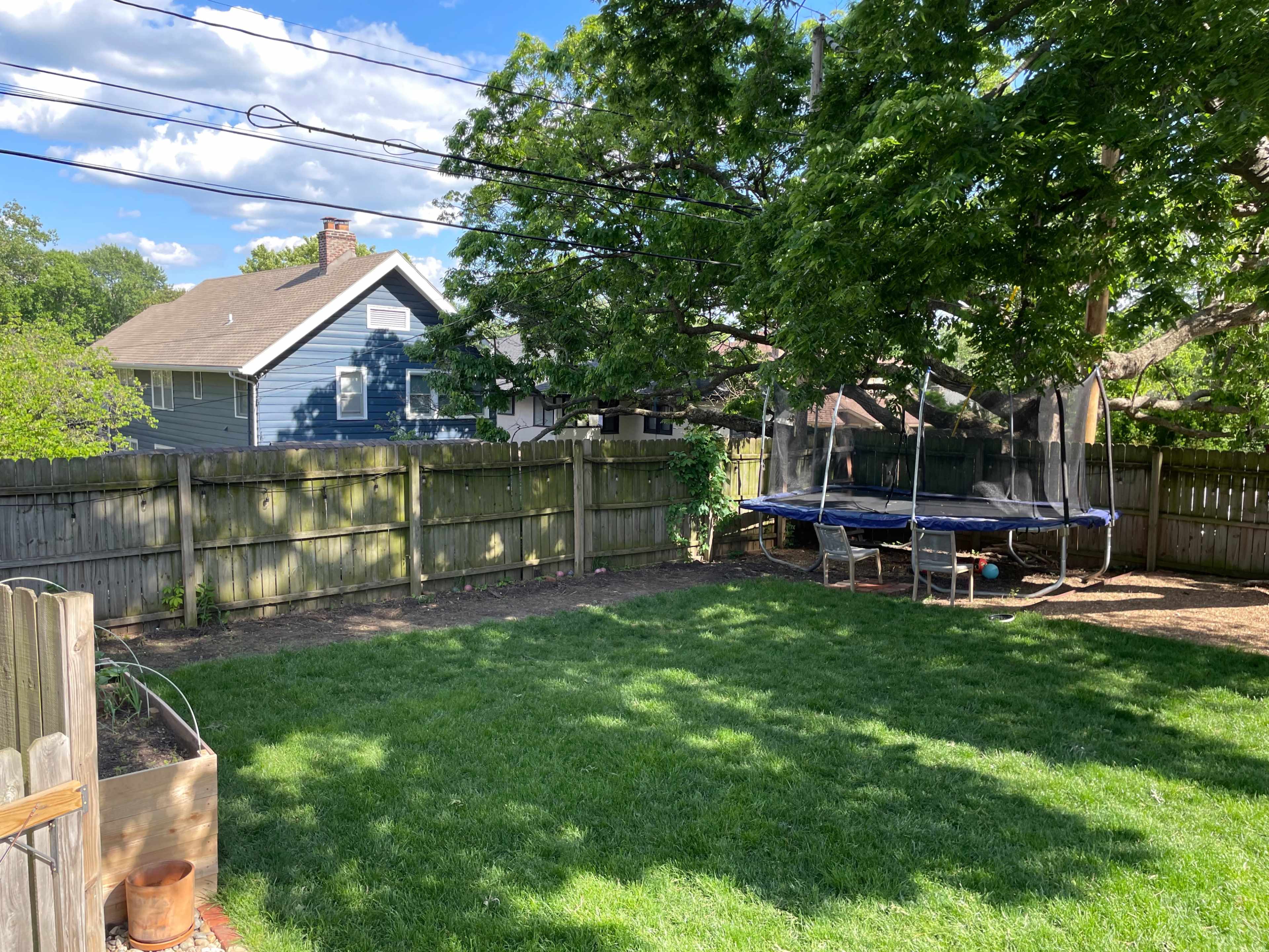 The image shows a grassy backyard with a trampoline, surrounded by wooden fencing and trees, and a house visible in the background.