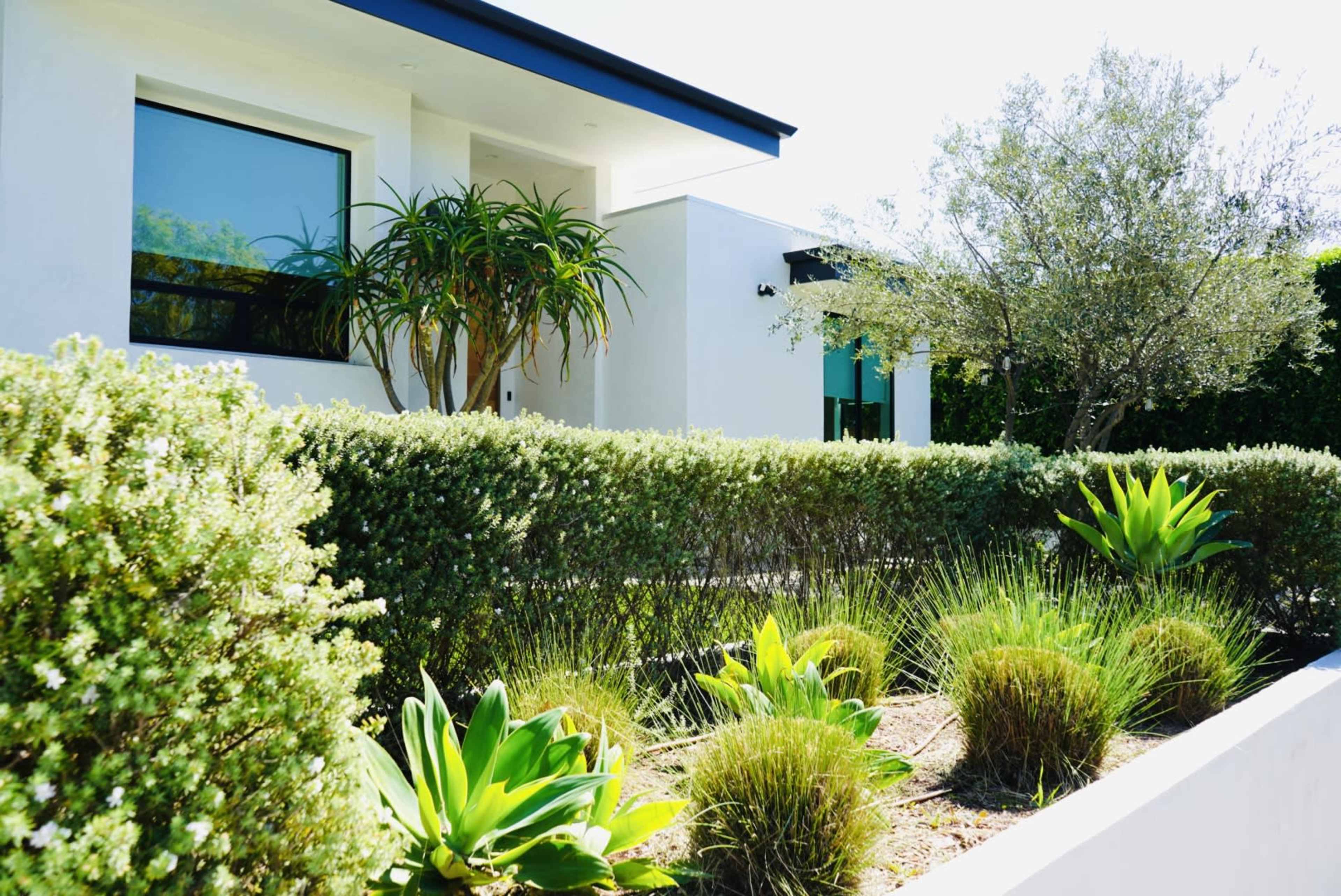 The image shows a modern white house with large windows, surrounded by neatly trimmed hedges and various green plants in a landscaped yard.