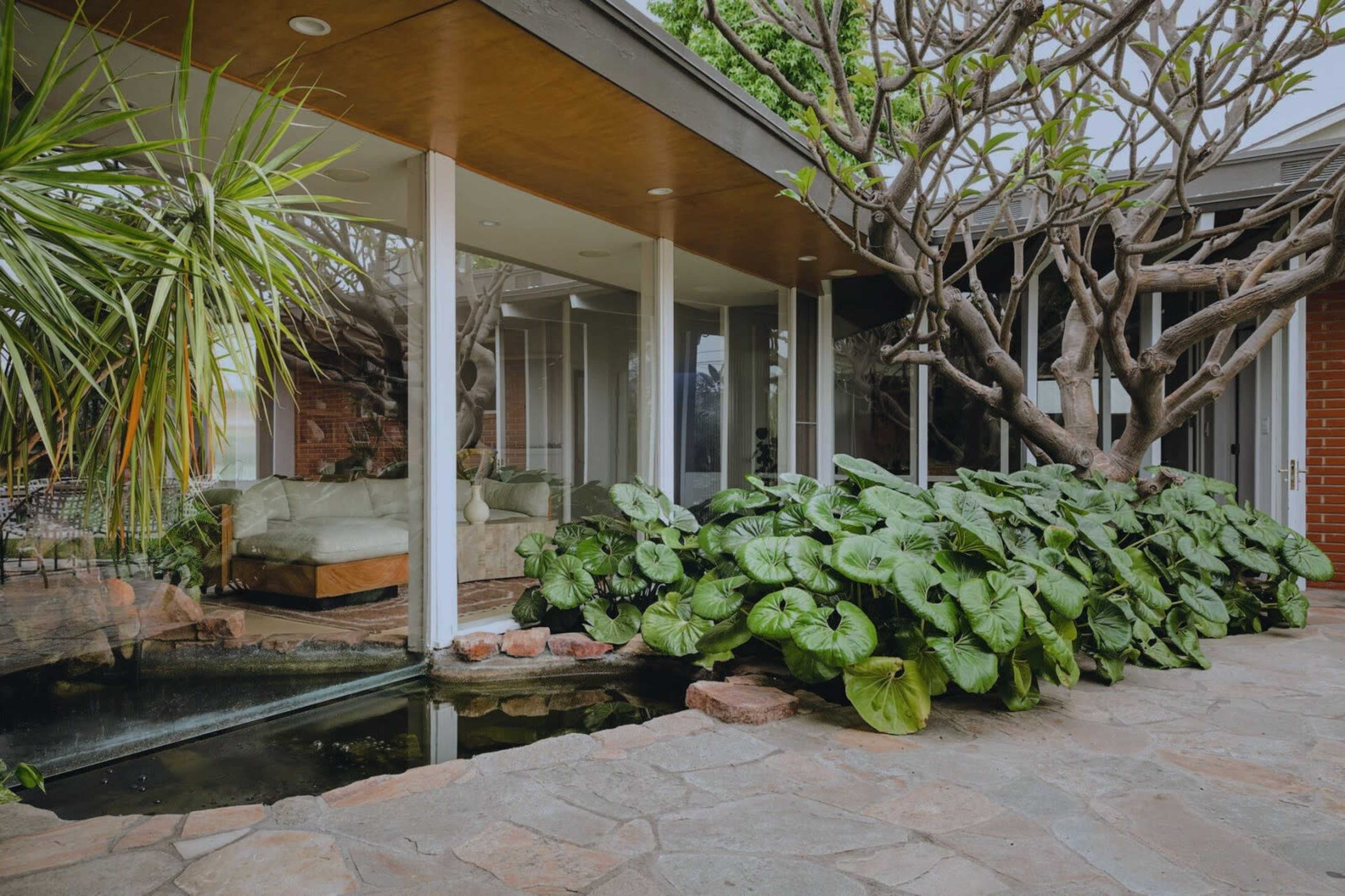 A modern home features large glass walls surrounding a lush garden with tropical plants and a small pond.