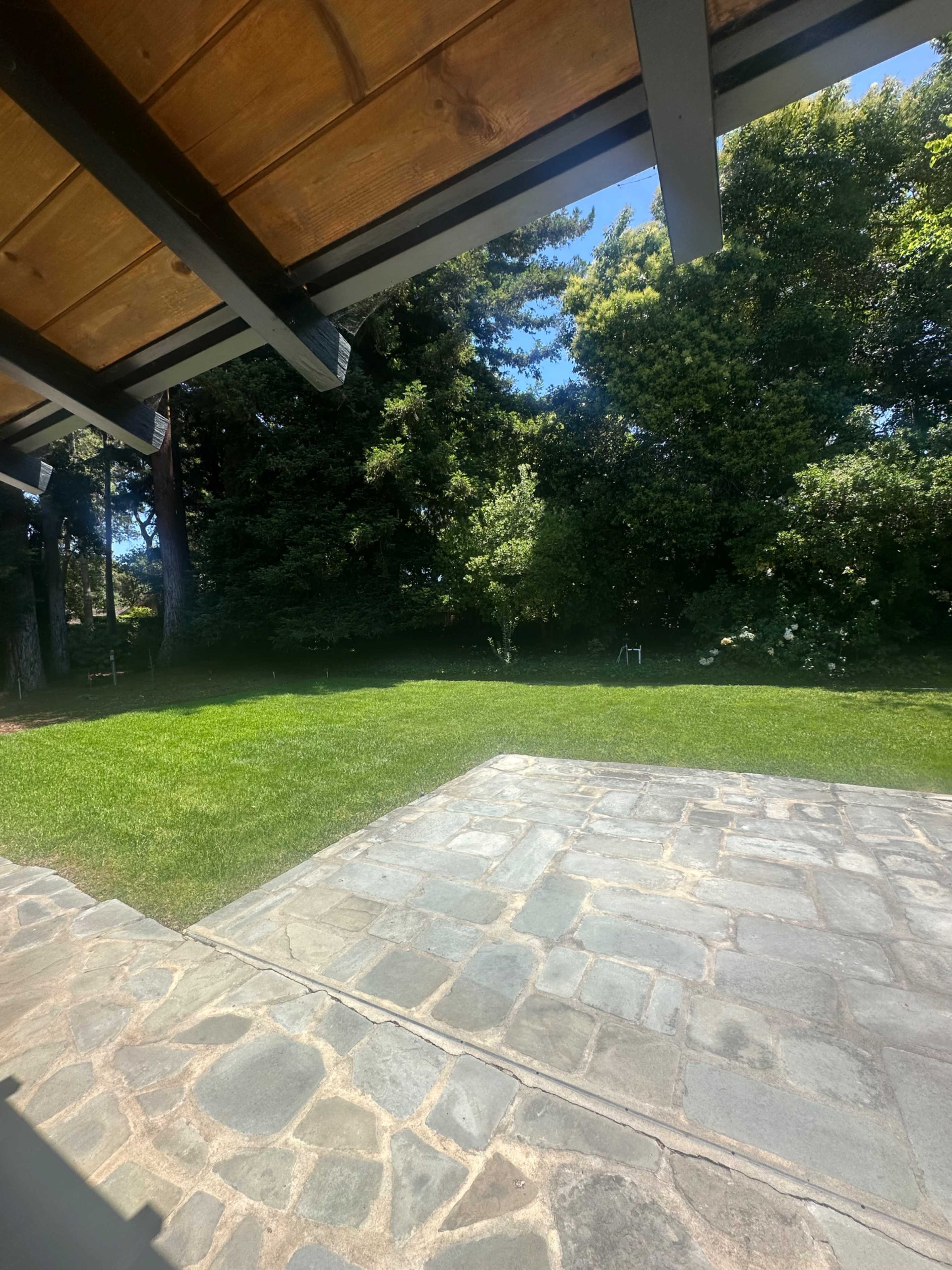 The image shows a view of a green lawn and dense trees from a stone patio.