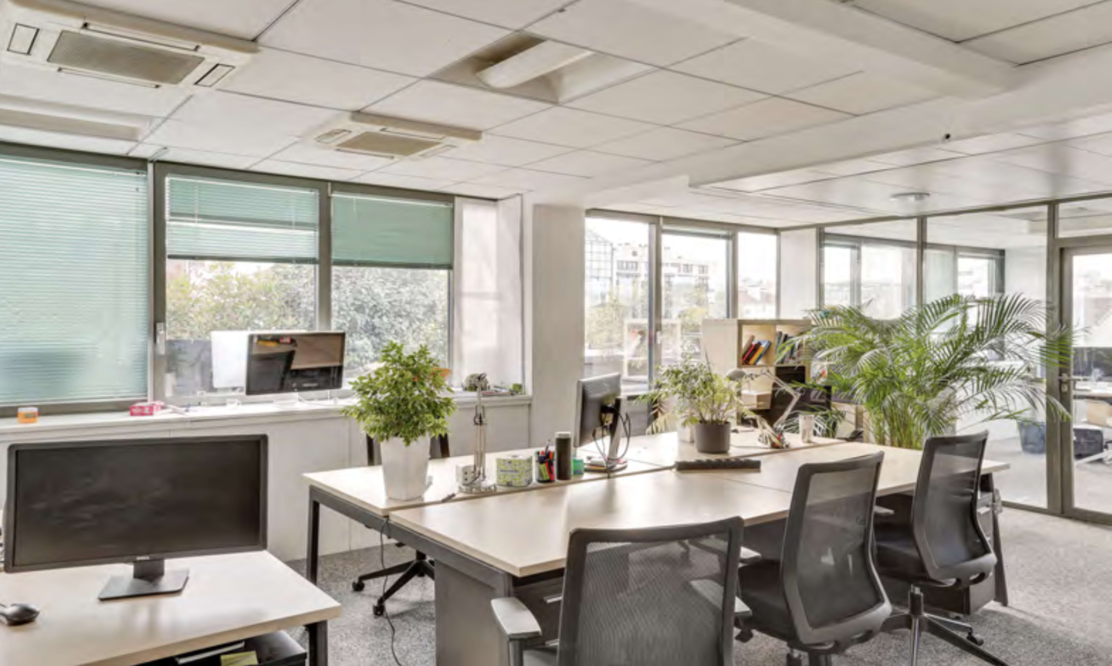 The image shows a modern office space with several desks, computers, and indoor plants, illuminated by natural light from large windows.