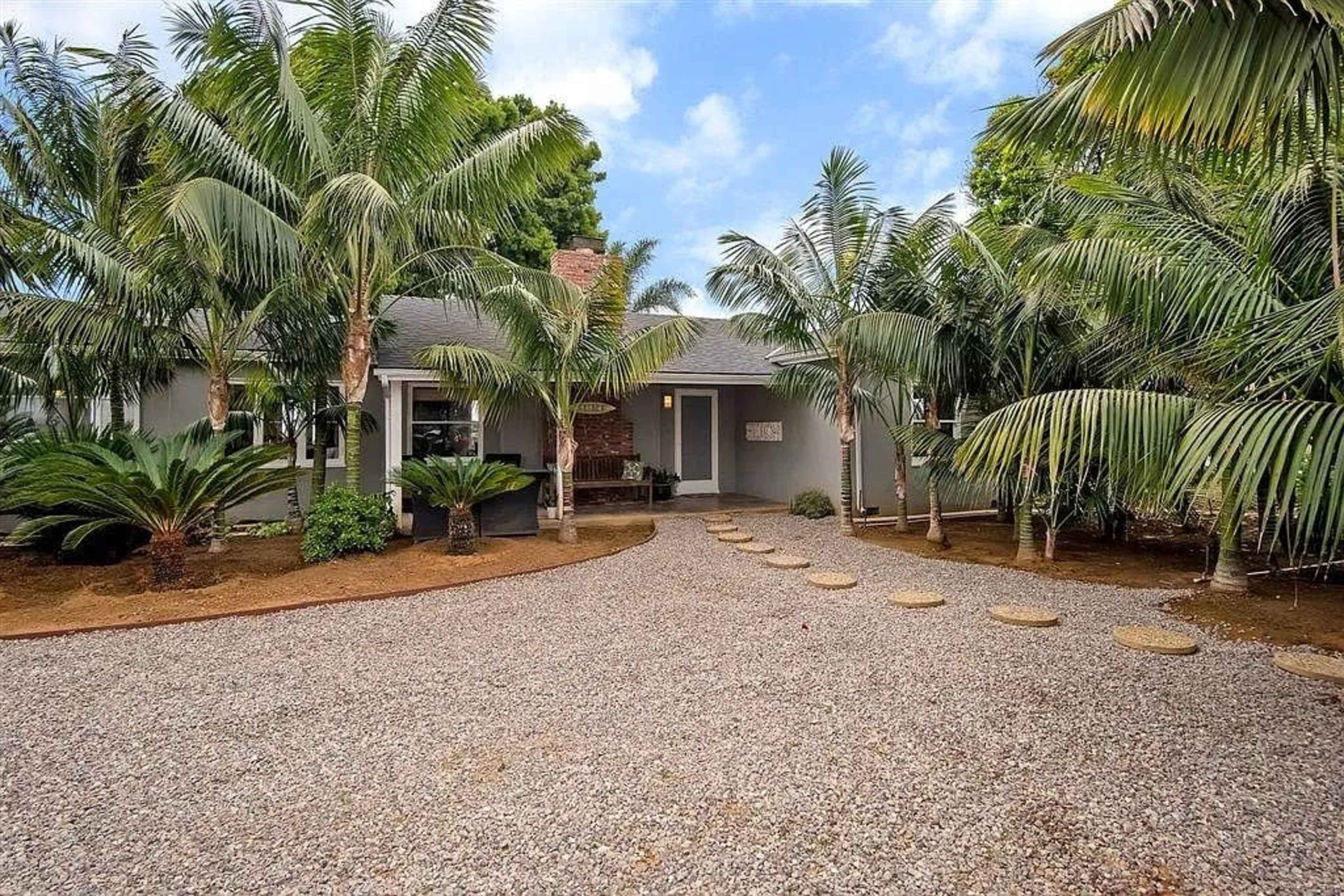 A gravel pathway leads to a house surrounded by tall palm trees and lush greenery.