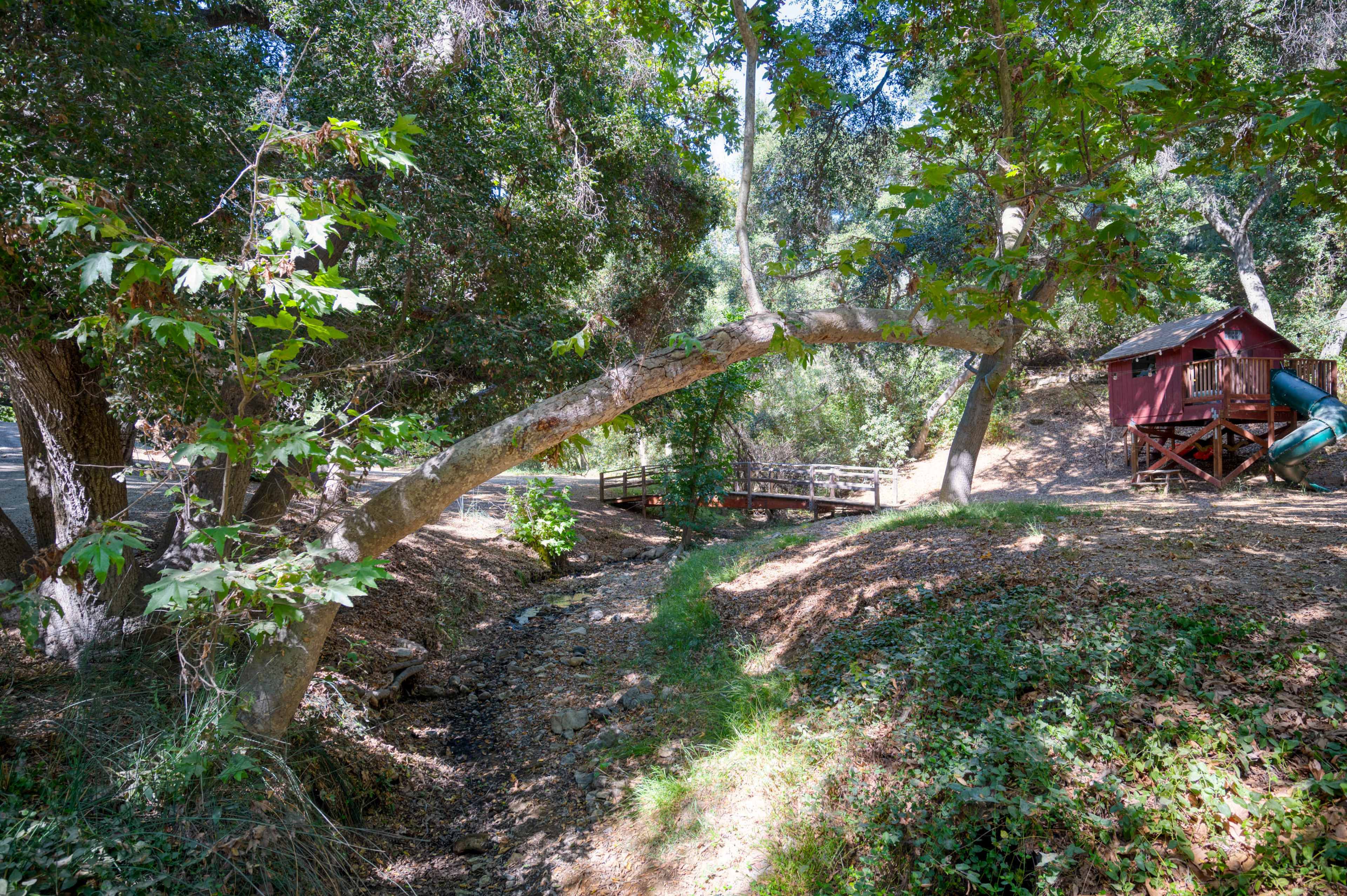 A wooden bridge leads from a small, red playhouse across a dry creek bed, surrounded by trees and dense foliage.